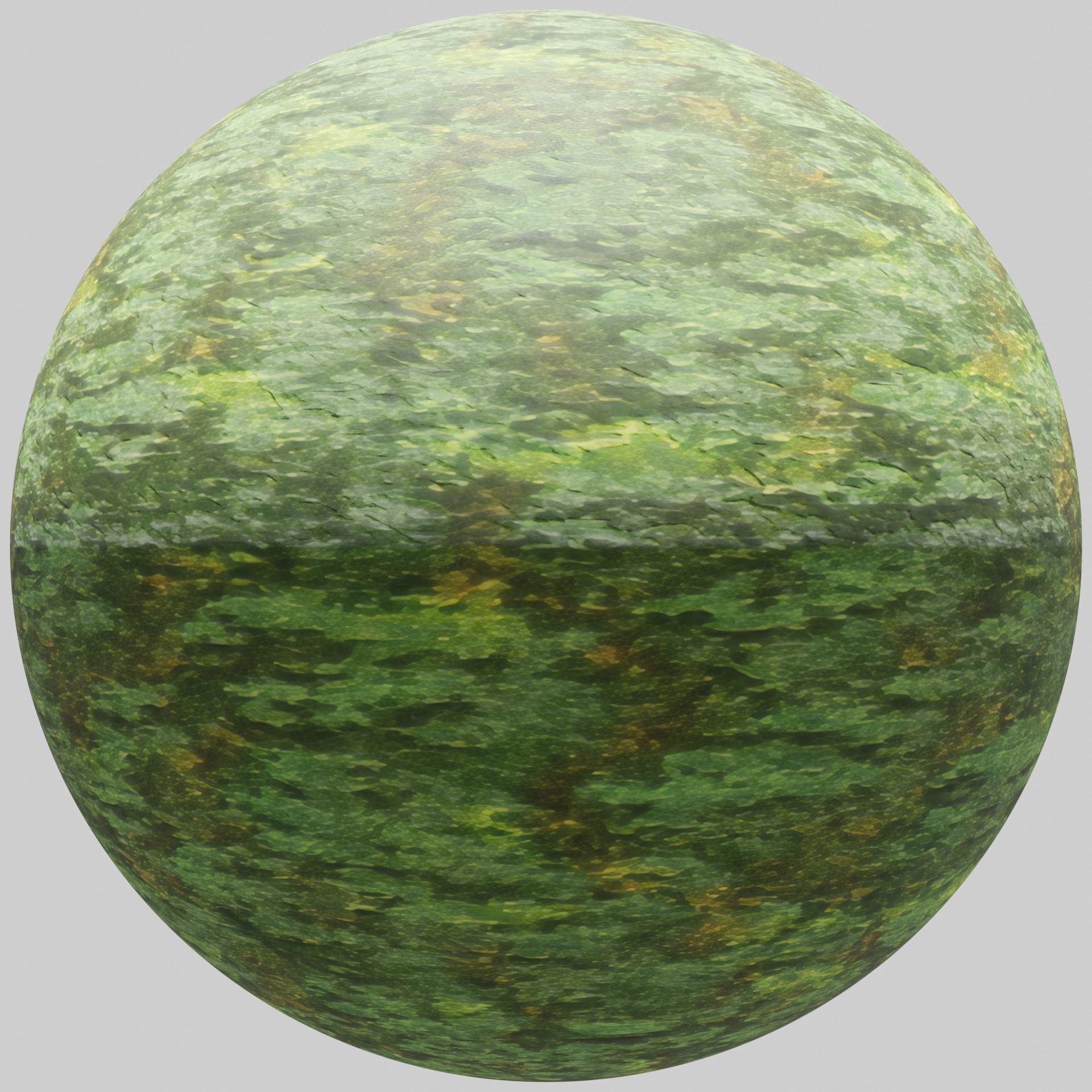 Rough mossy bark - 4K PBR BRDF material Texture_3