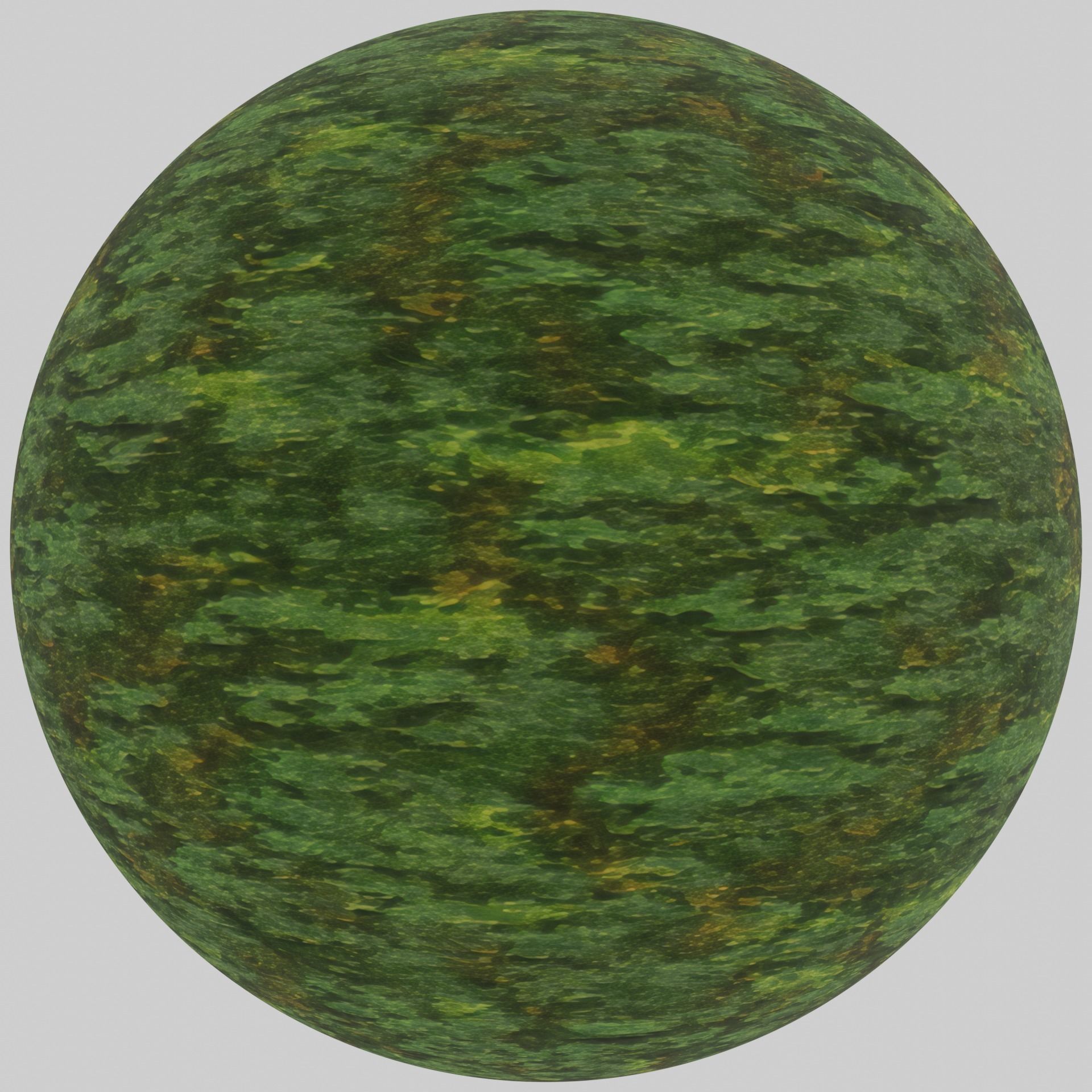 Rough mossy bark - 4K PBR BRDF material Texture_5