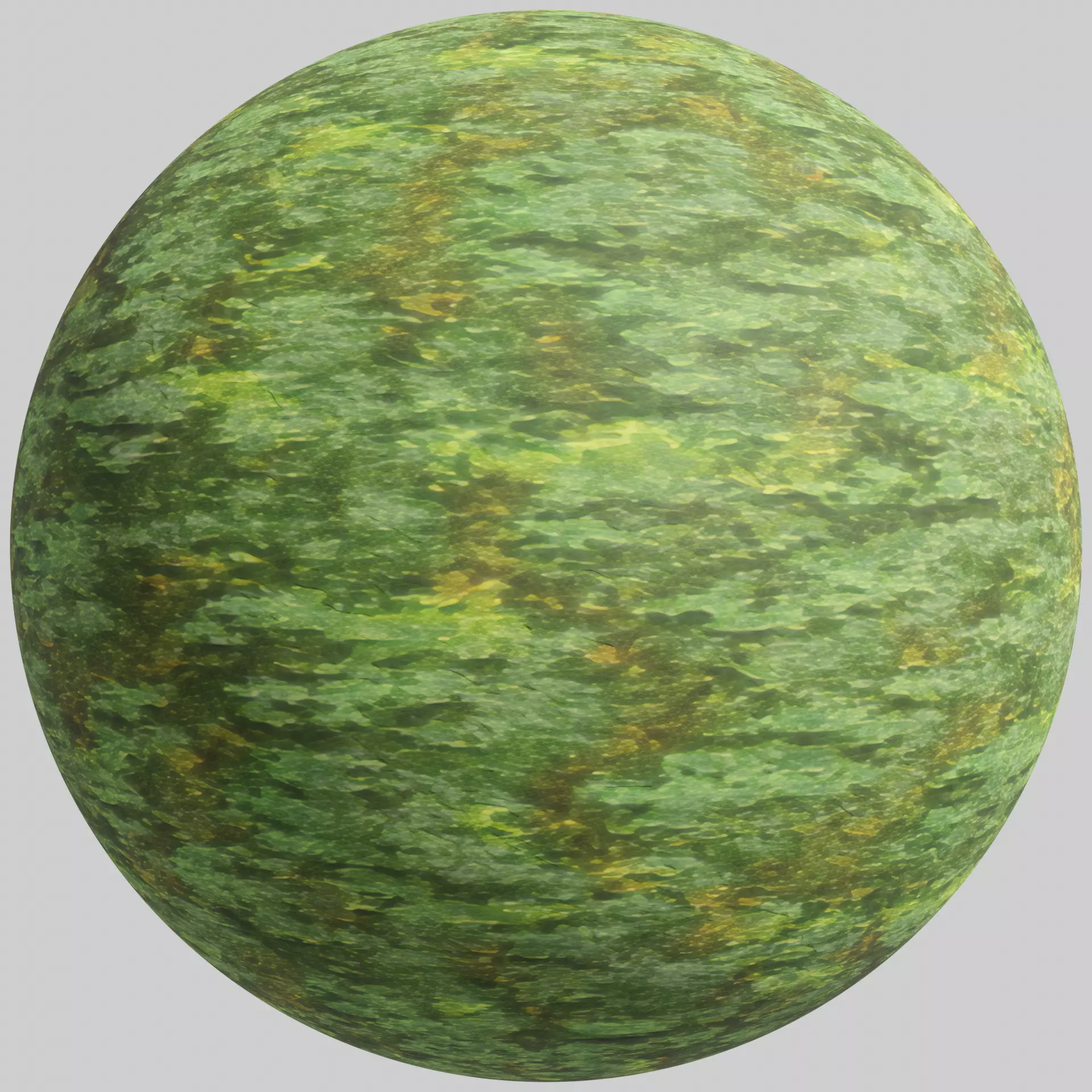 Rough mossy bark - 4K PBR BRDF material Texture_0