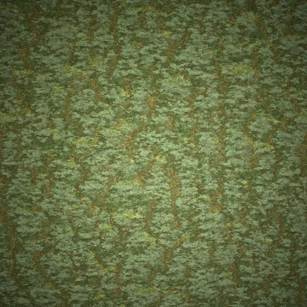 Rough mossy bark - 4K PBR BRDF material Texture_2