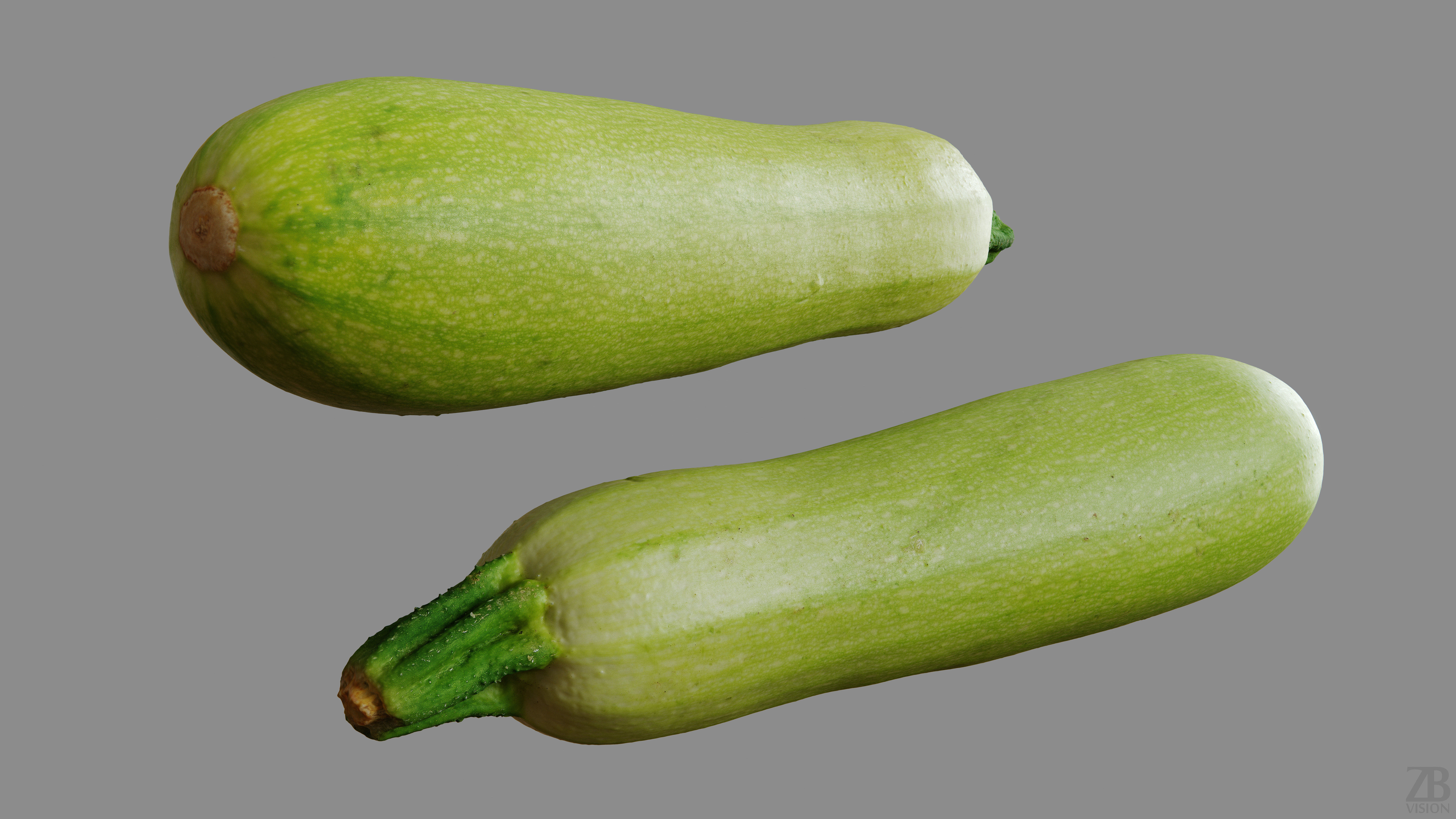 Marrow 3D model_9