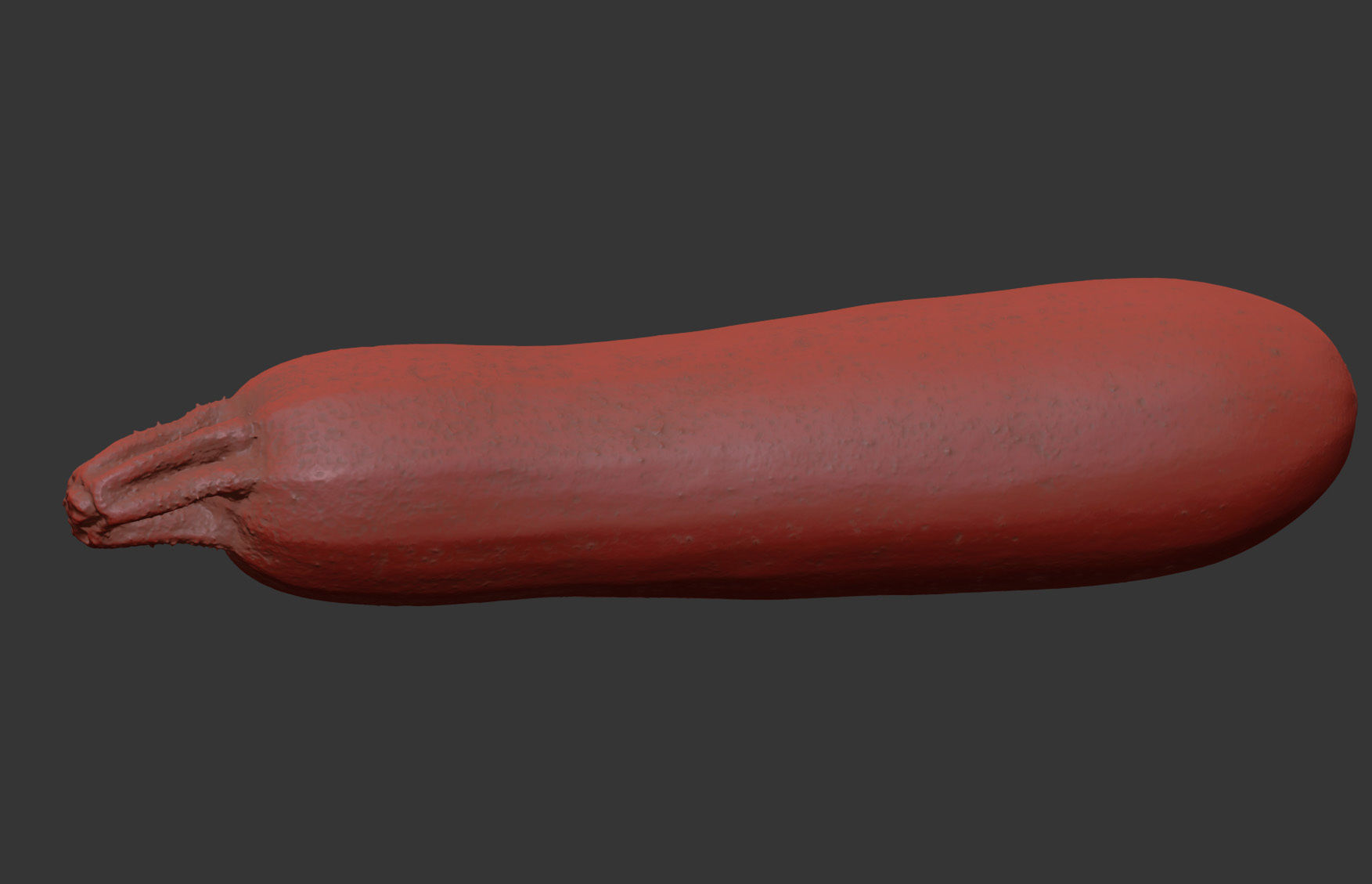 Marrow 3D model_7