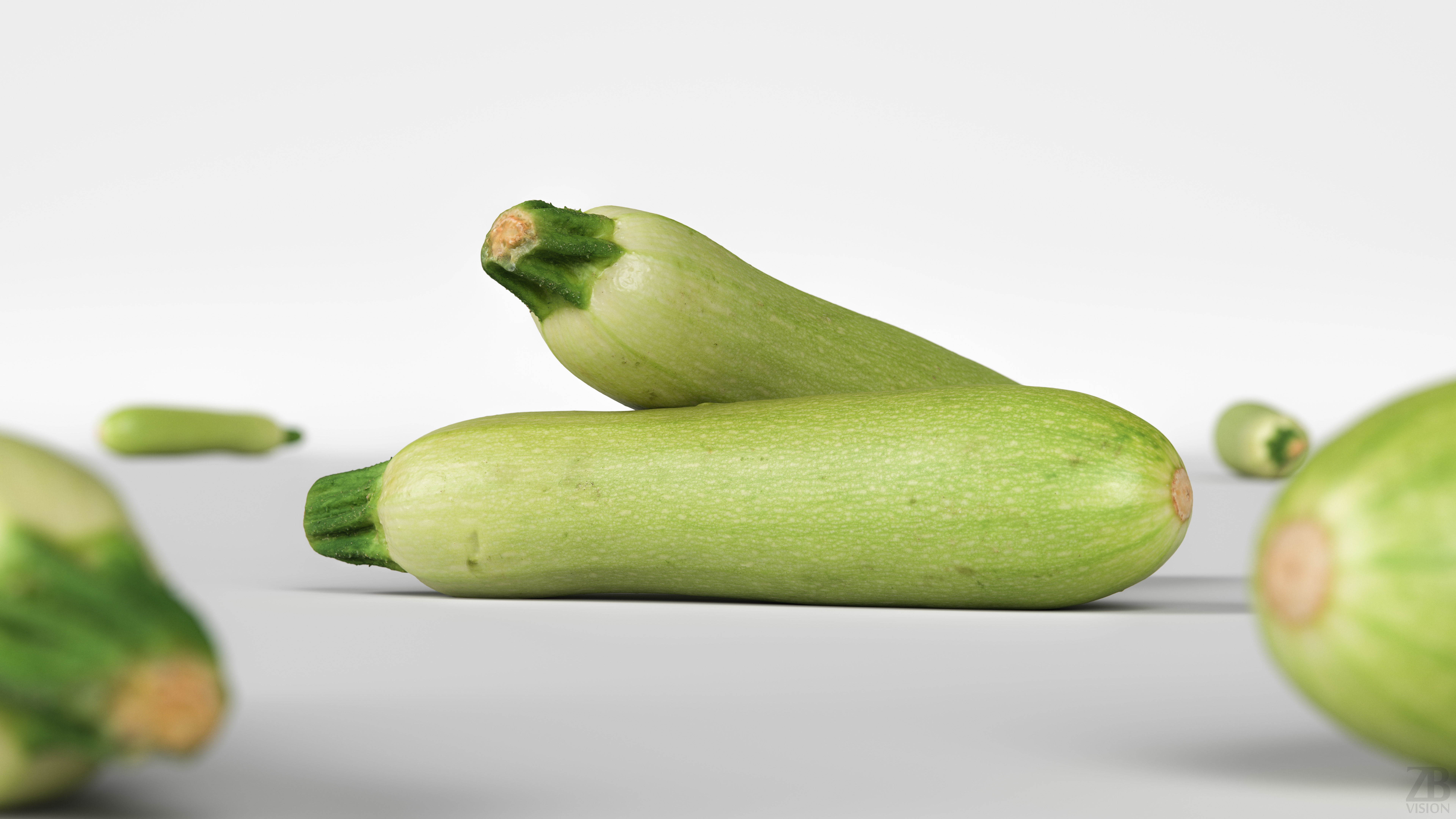 Marrow 3D model_1