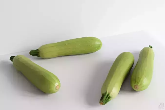 Marrow 3D model