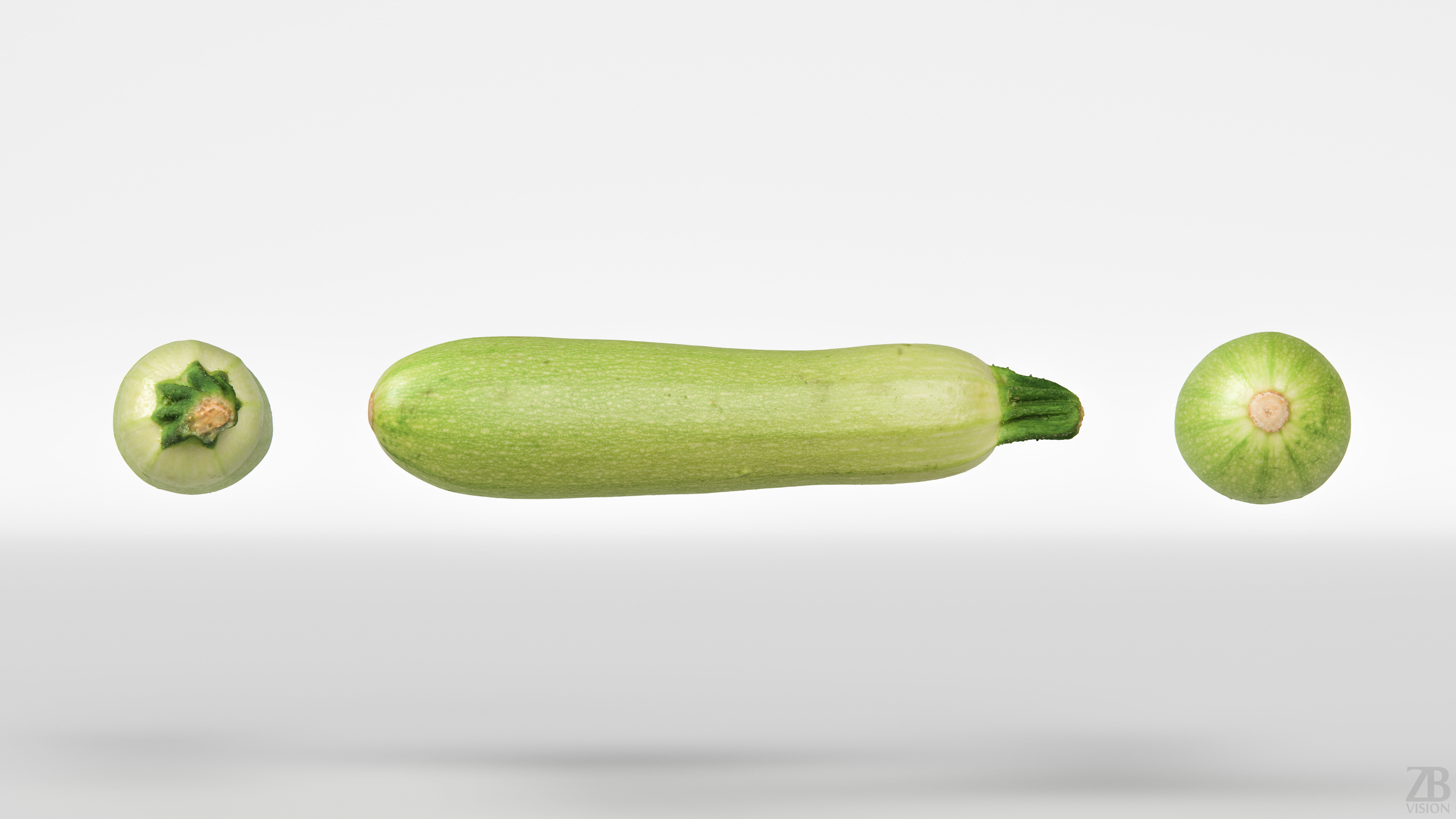 Marrow 3D model_4