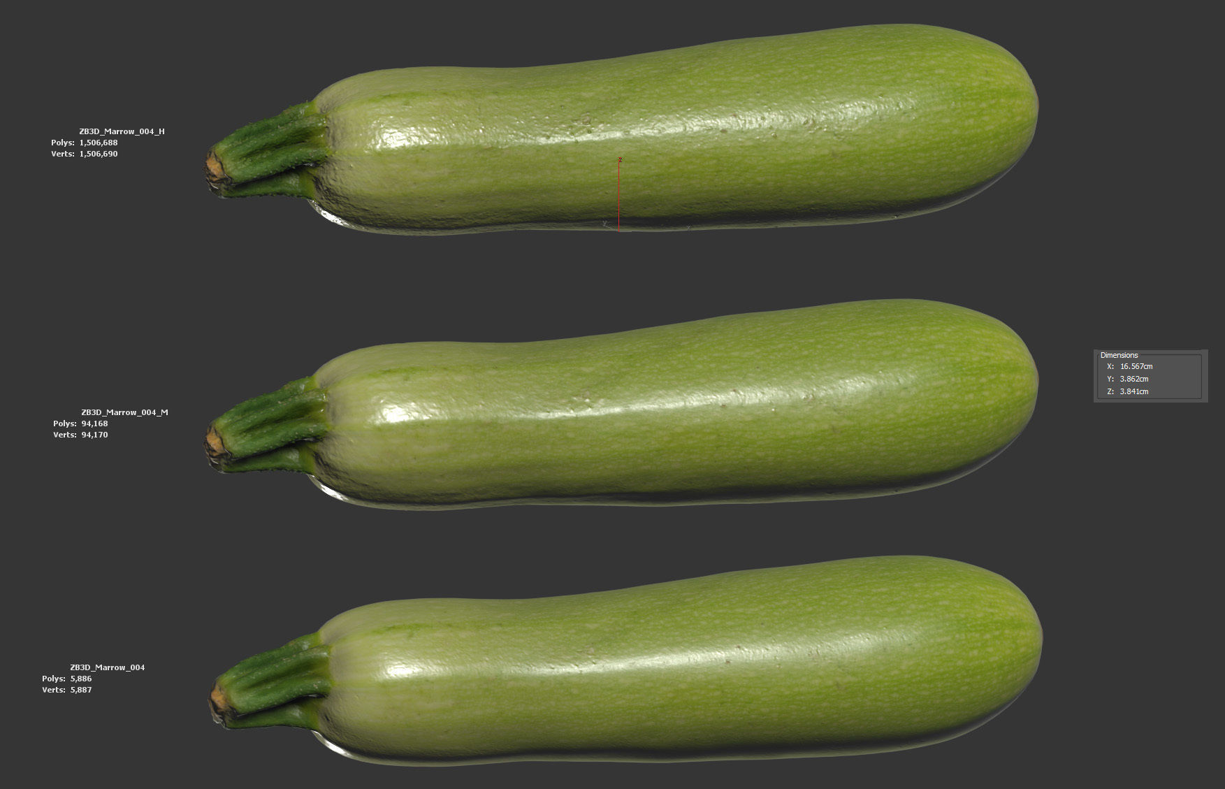 Marrow 3D model_5