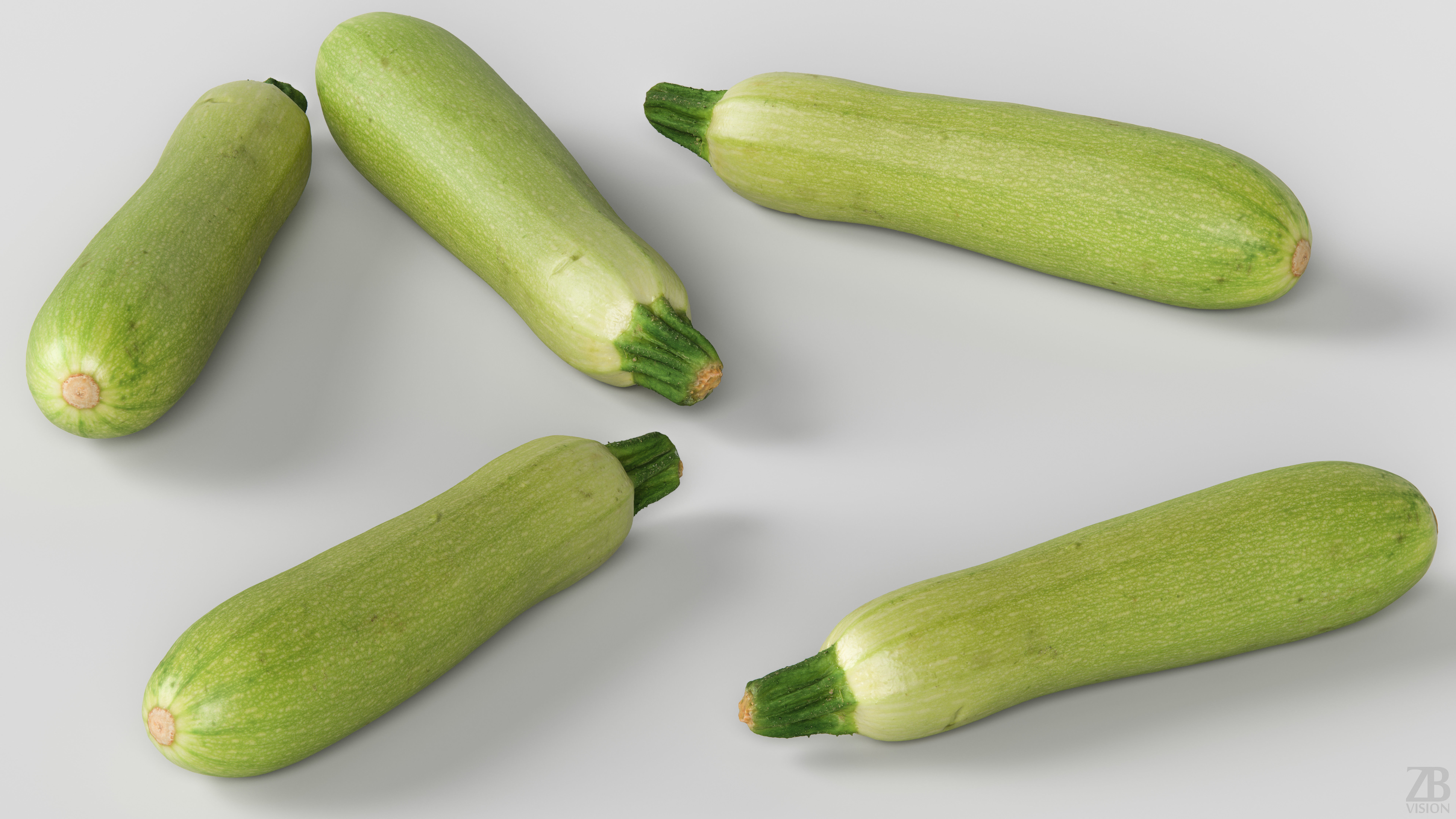 Marrow 3D model_2