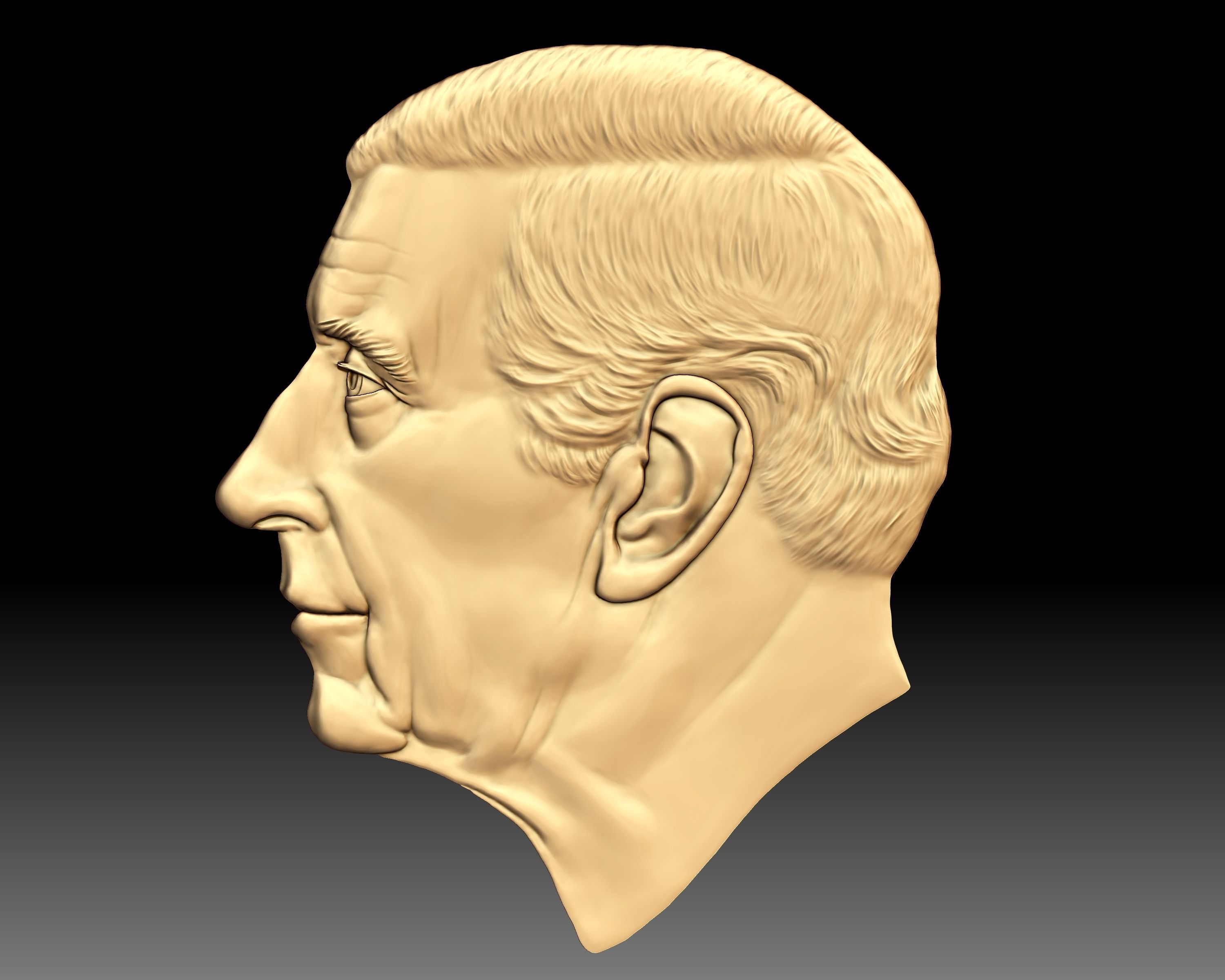 King Charles III coin portrait low relief 3D print model_5
