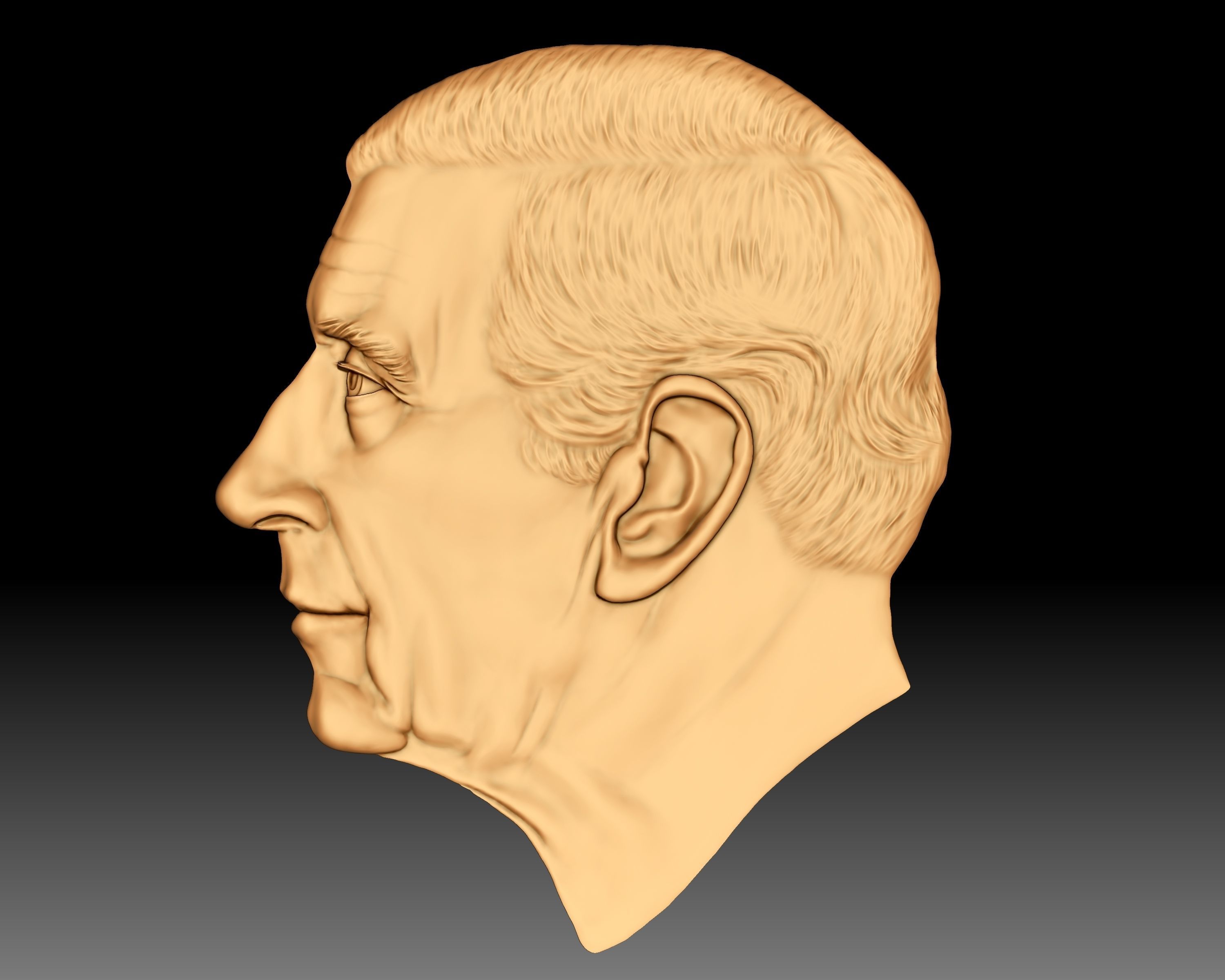 King Charles III coin portrait low relief 3D print model_8