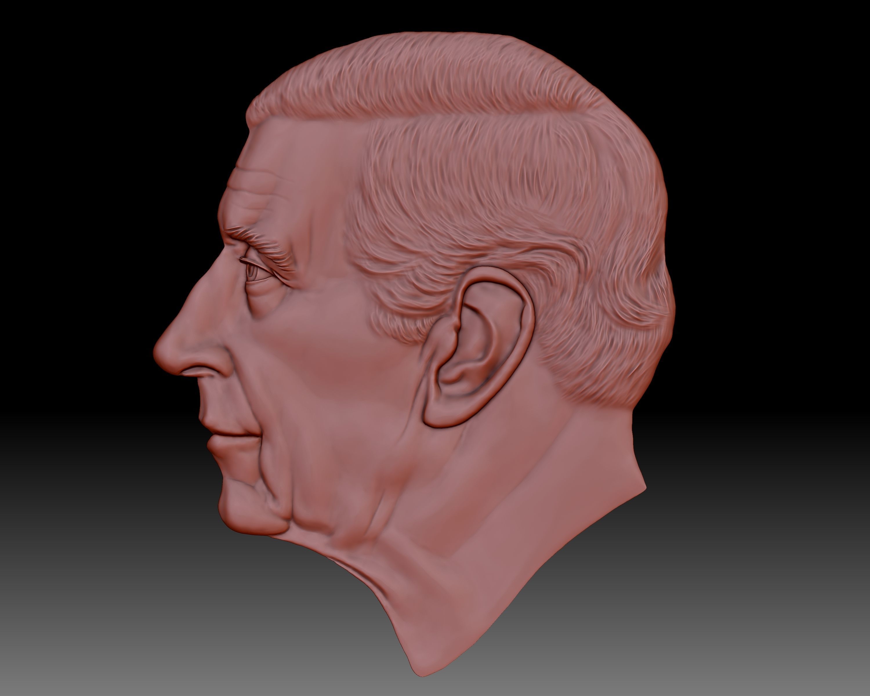 King Charles III coin portrait low relief 3D print model_6