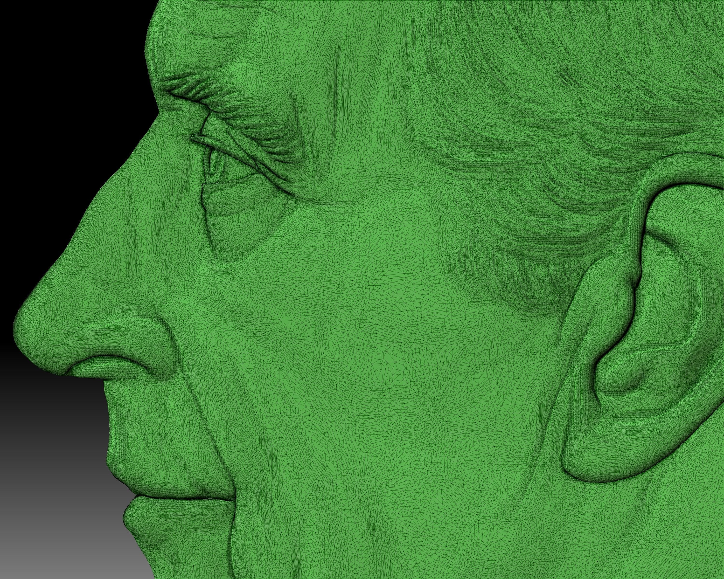 King Charles III coin portrait low relief 3D print model_10