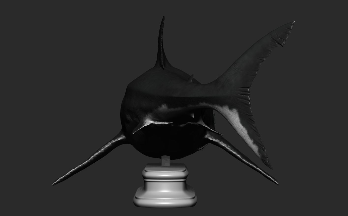 White Shark 3D print model_13