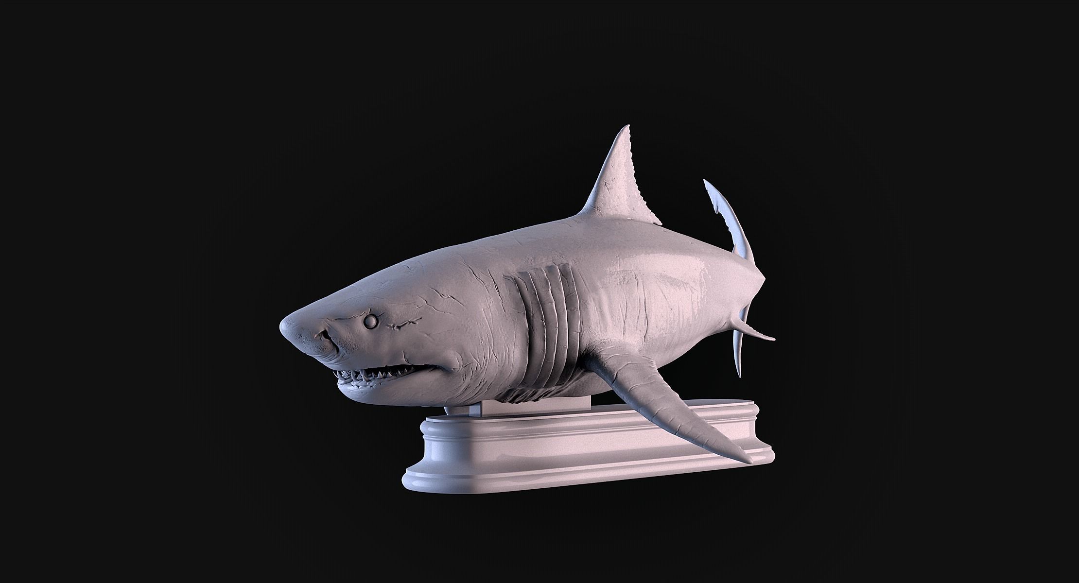 White Shark 3D print model_8