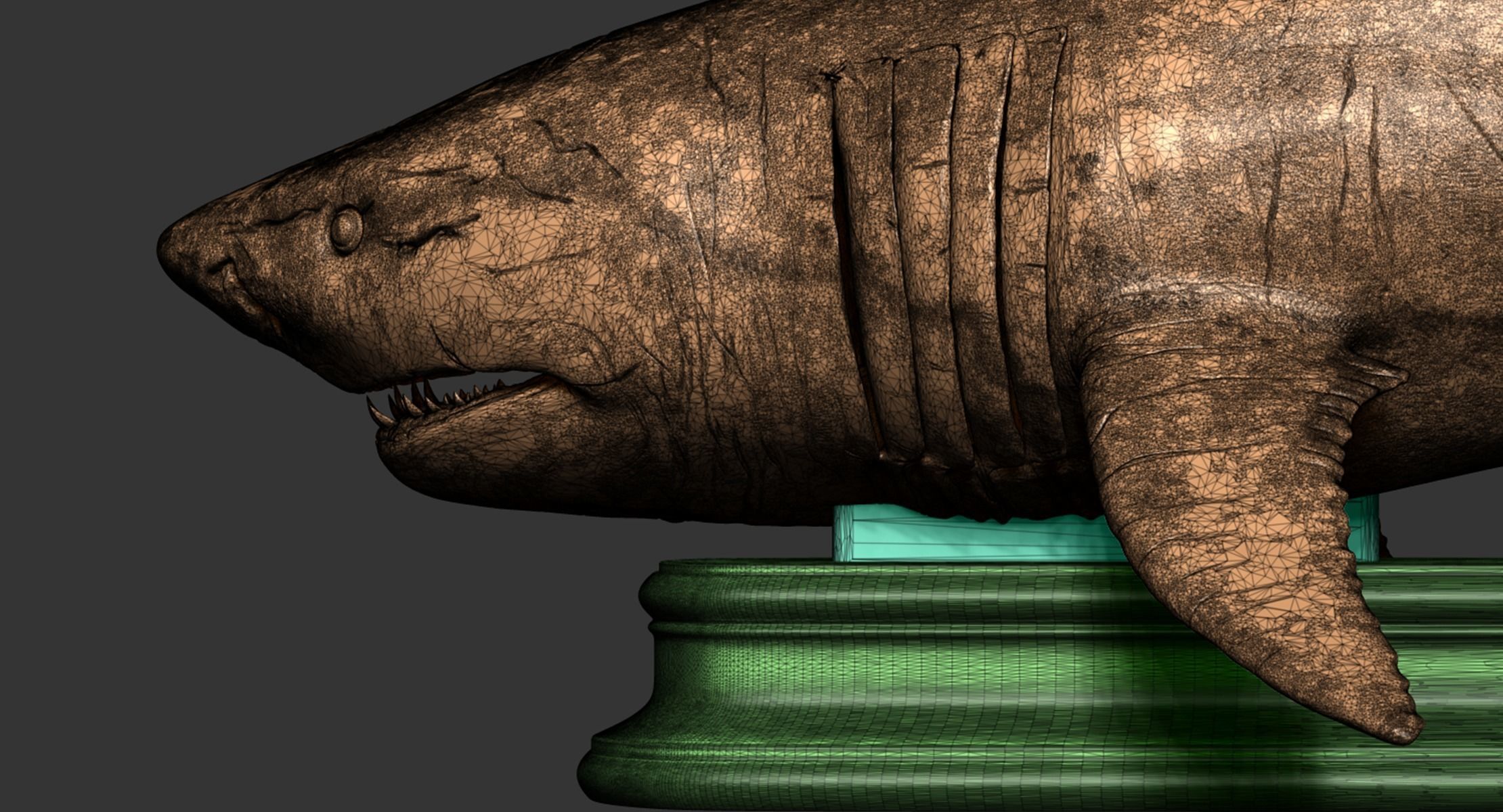 White Shark 3D print model_21