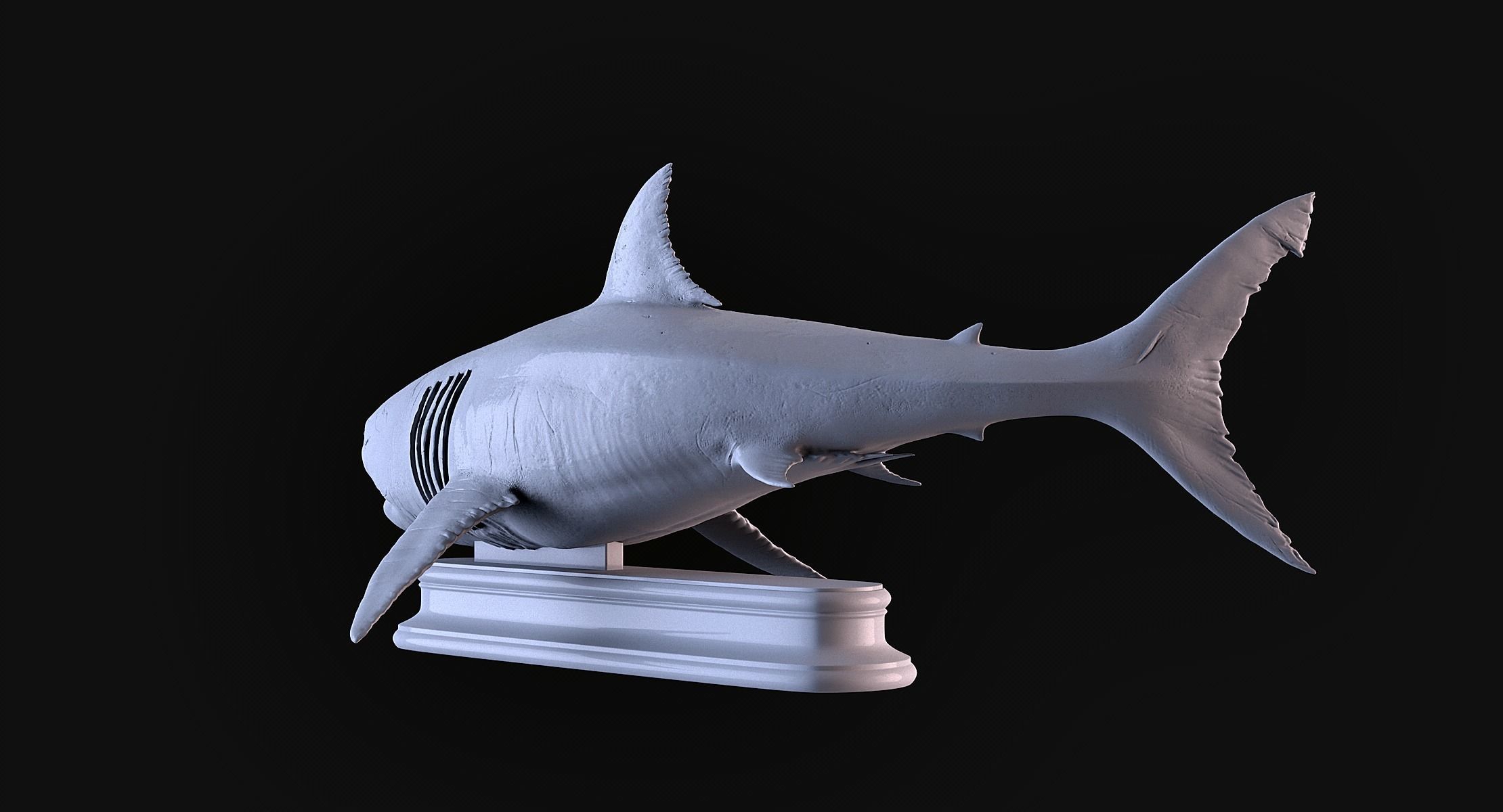 White Shark 3D print model_6