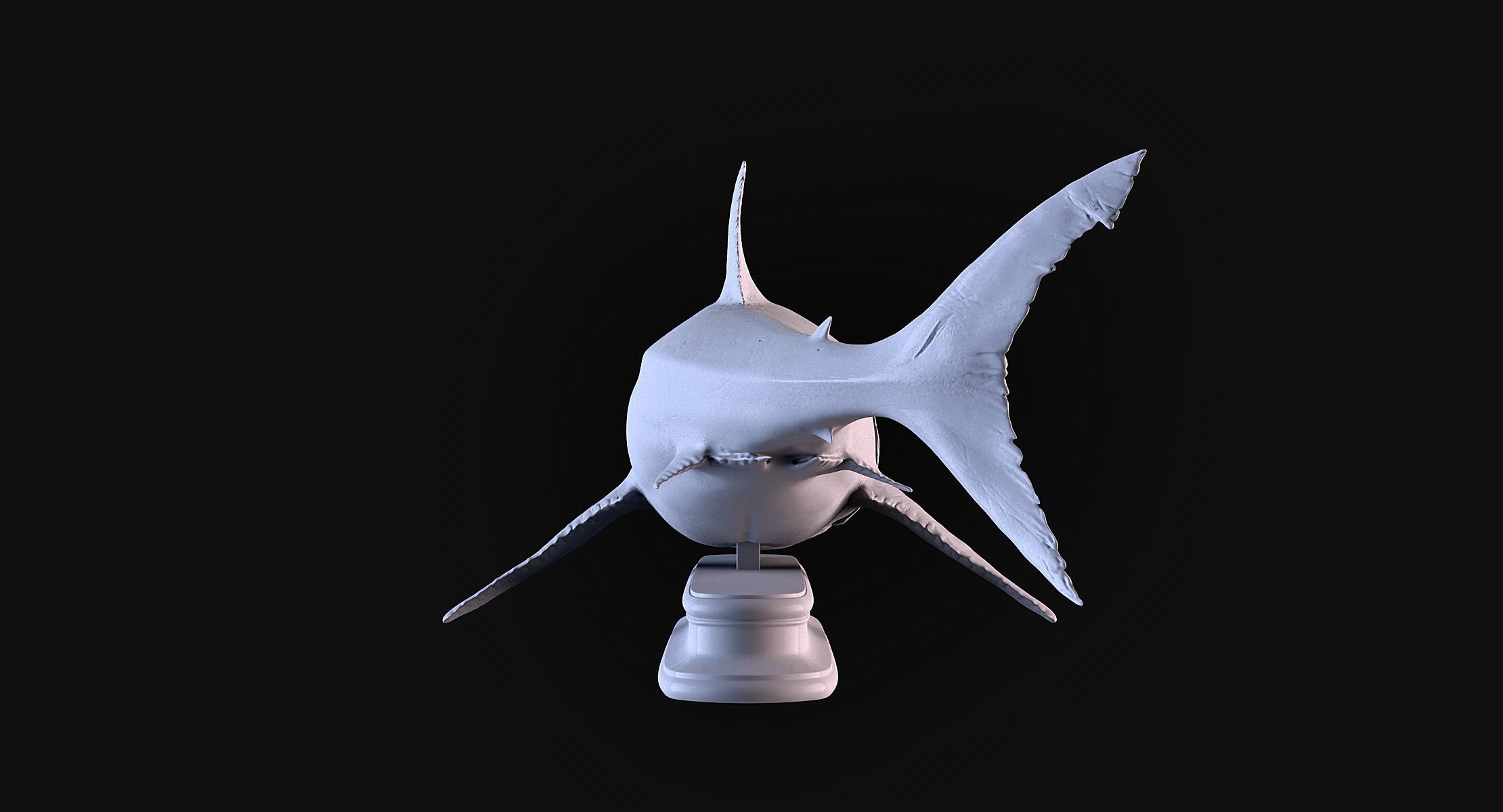 White Shark 3D print model_5