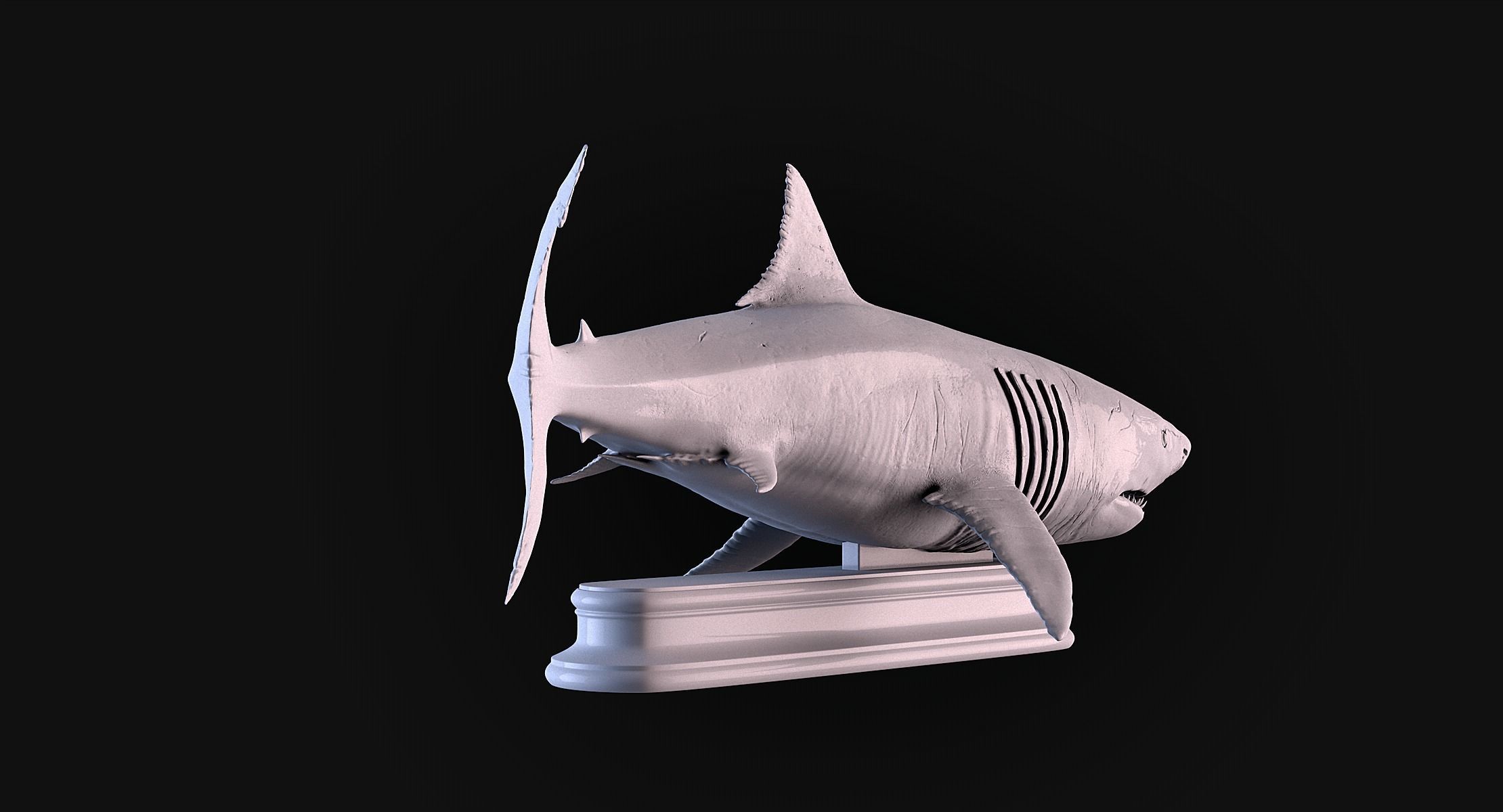 White Shark 3D print model_4