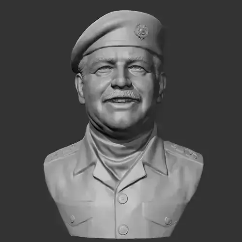 Saddam Hussein 3D print model 3D print model