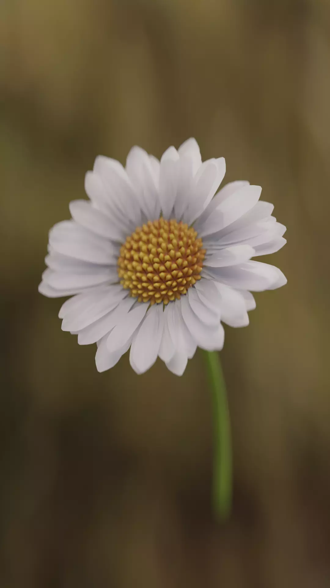 Flower Procedural Model Geometry Nodes in Blender Free low-poly 3D model