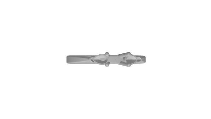 Ring R3RD100 M 3D print model