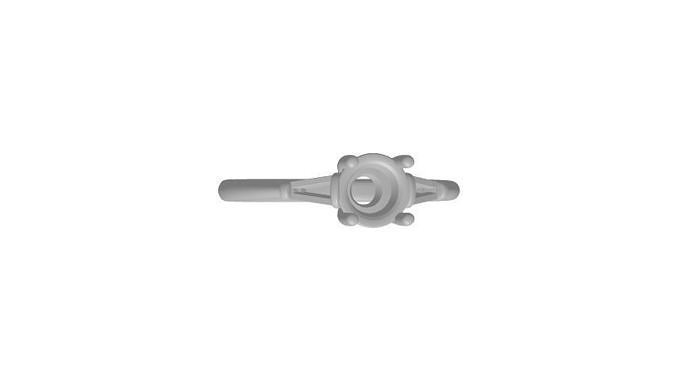 Ring R3RD118 M 3D print model