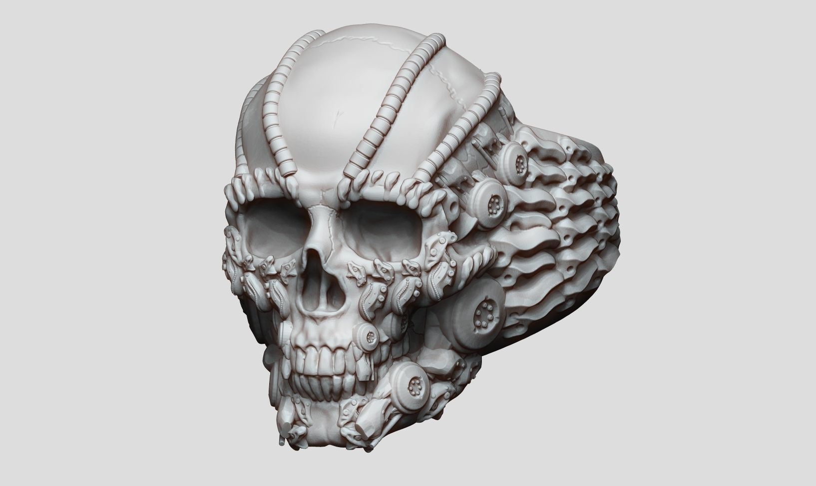 Ring Skull Biomechanical a01 3D print model_30