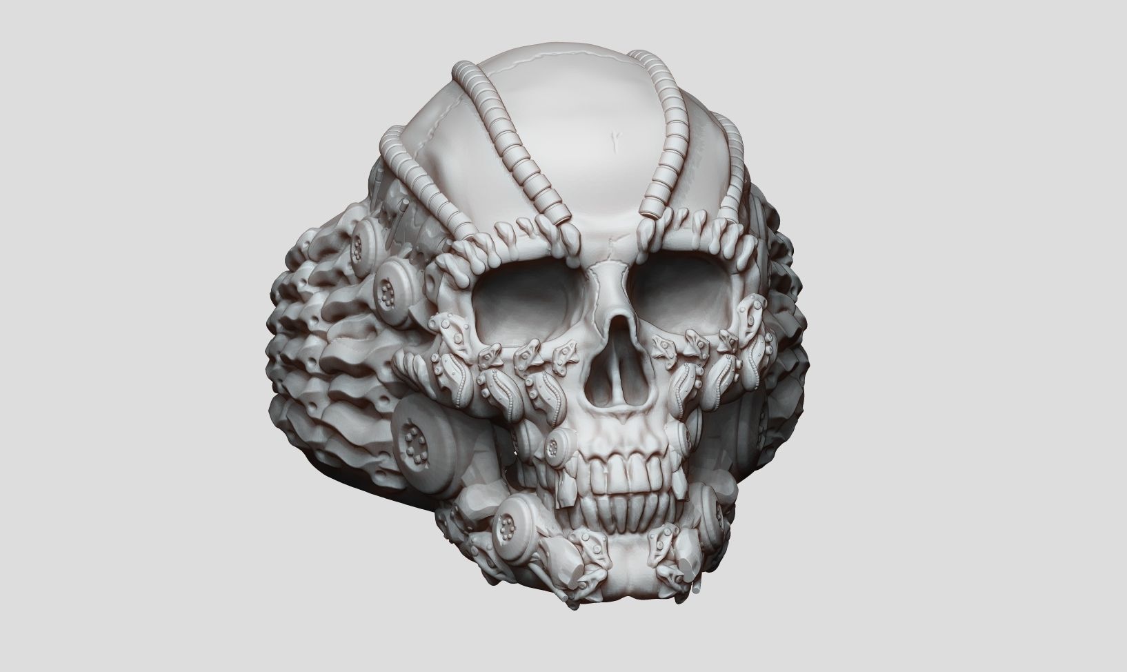 Ring Skull Biomechanical a01 3D print model_20