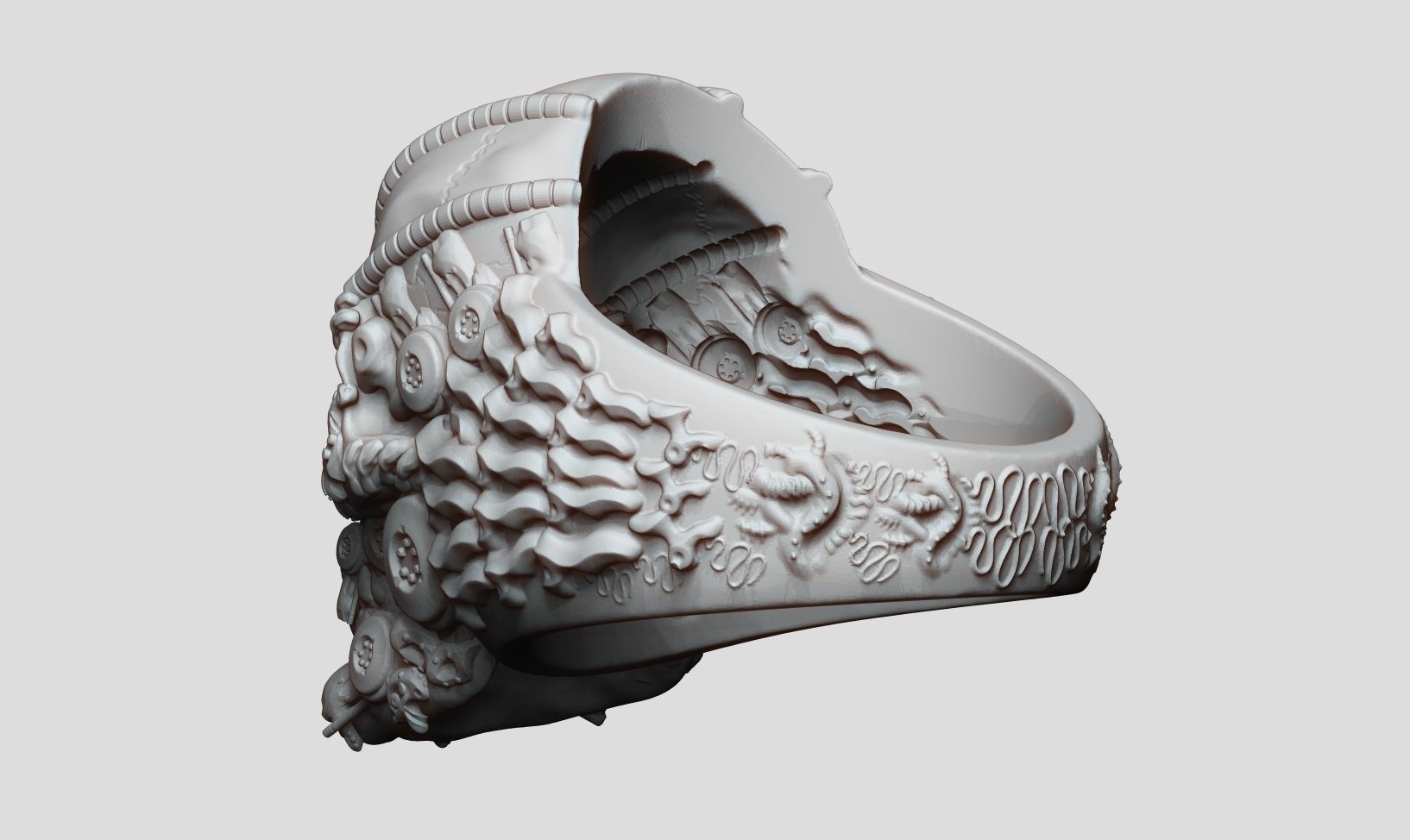Ring Skull Biomechanical a01 3D print model_27