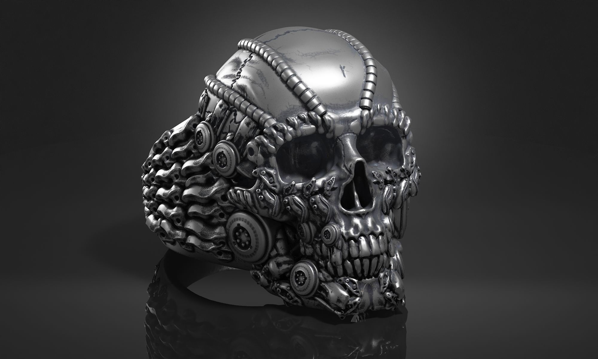 Ring Skull Biomechanical a01 3D print model_14