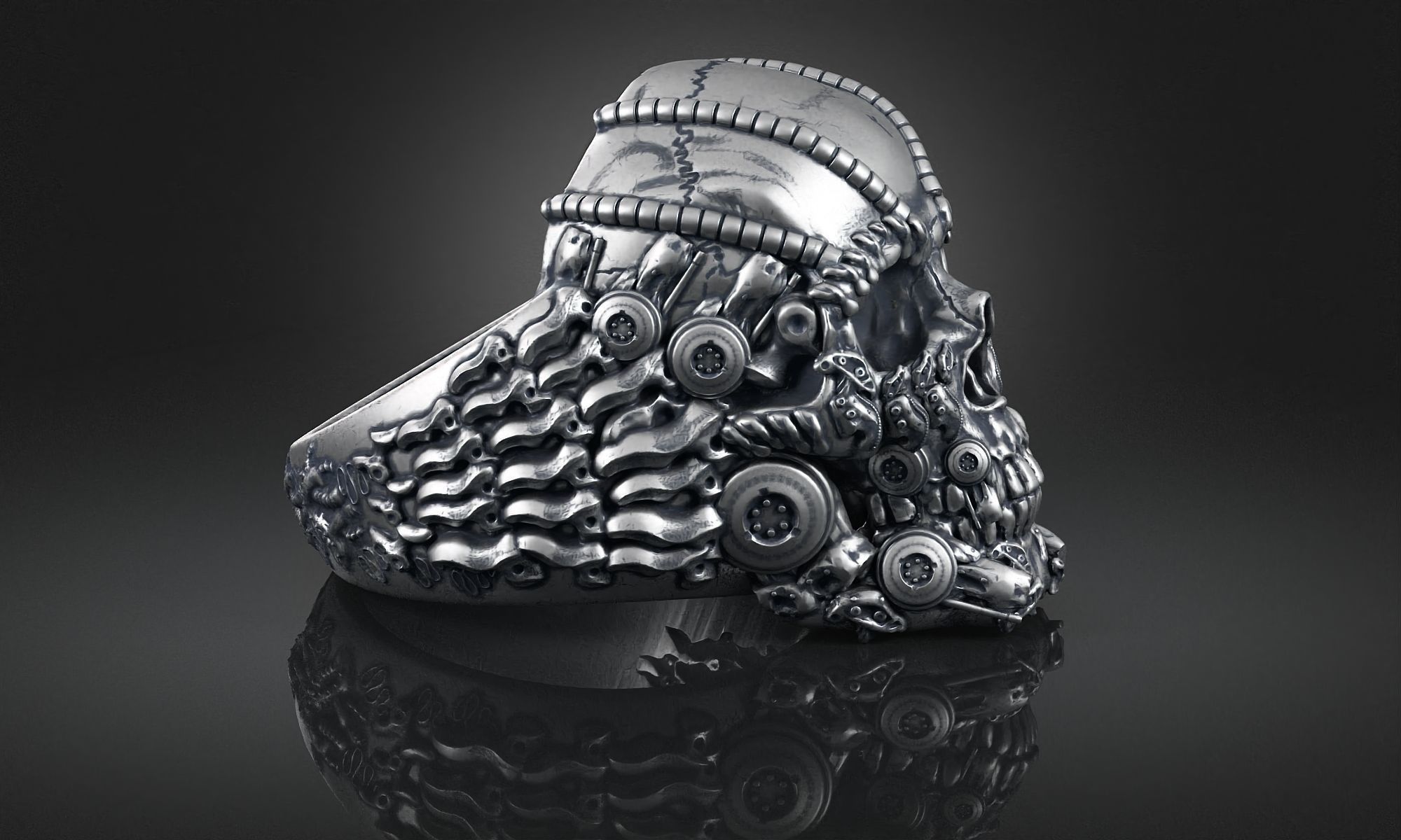 Ring Skull Biomechanical a01 3D print model_1