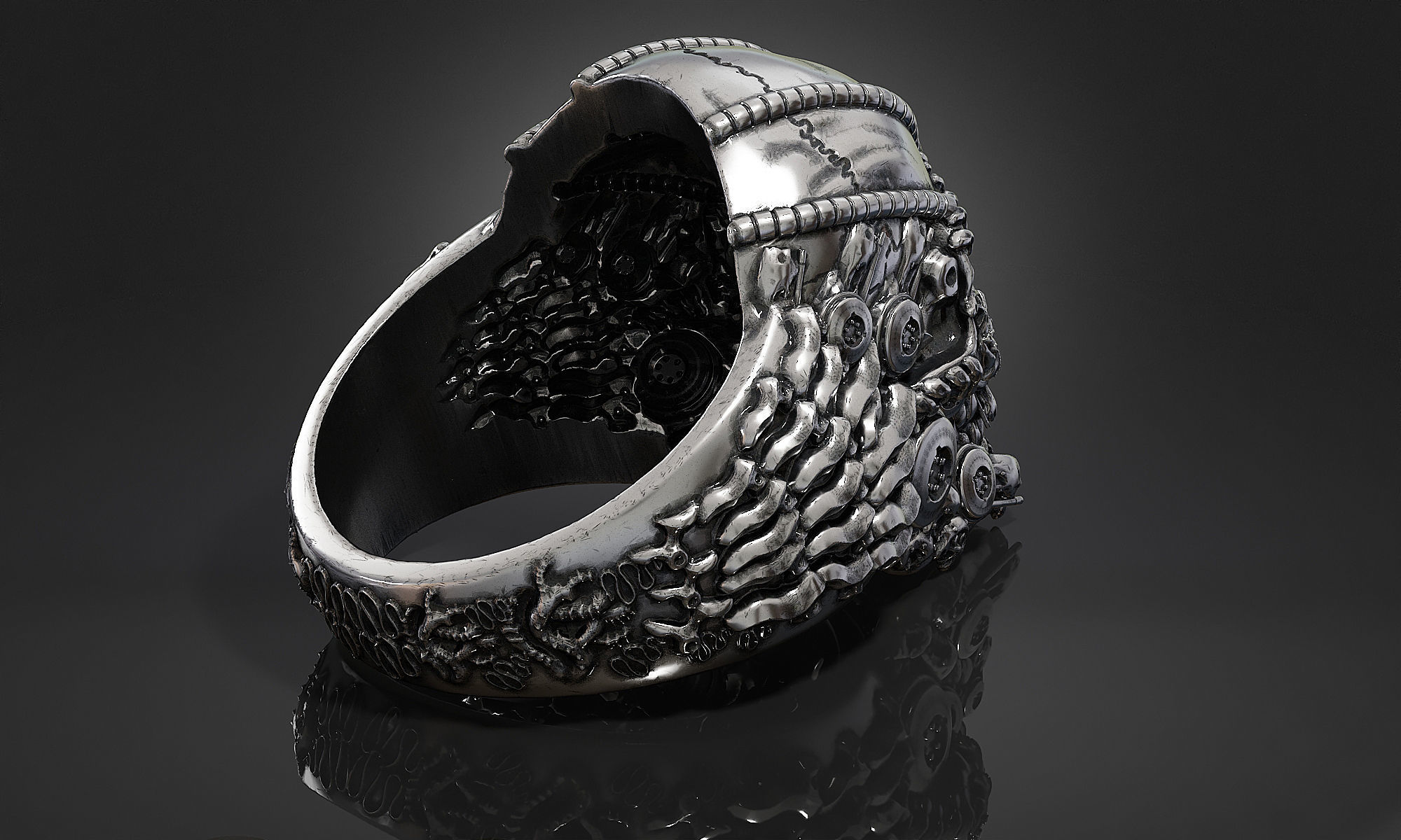 Ring Skull Biomechanical a01 3D print model_12
