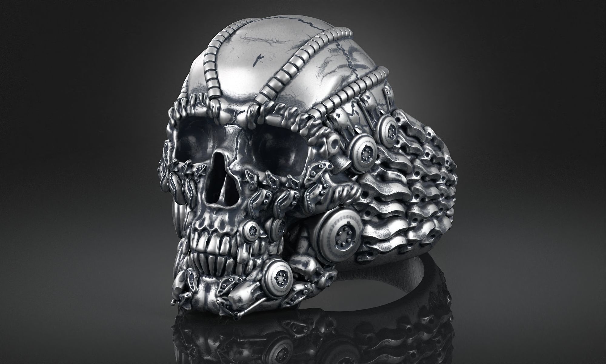 Ring Skull Biomechanical a01 3D print model_3