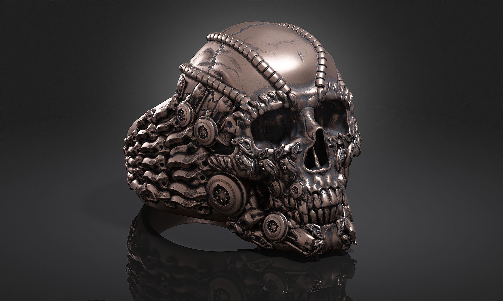 Ring Skull Biomechanical a01 3D print model_15