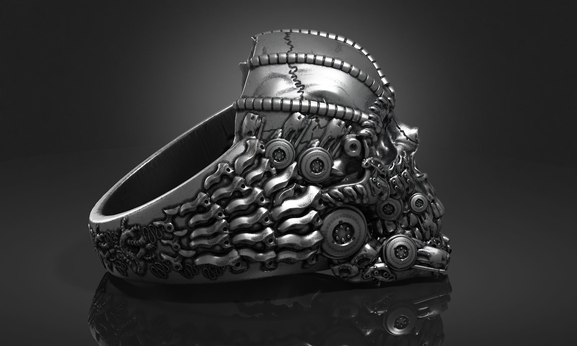 Ring Skull Biomechanical a01 3D print model_11