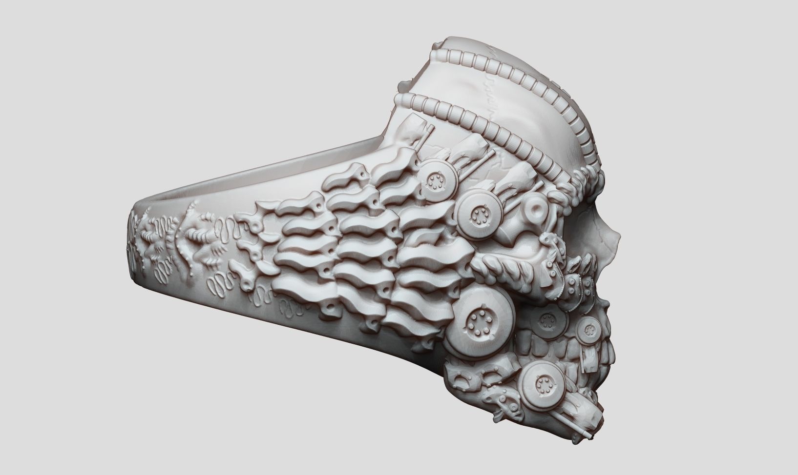 Ring Skull Biomechanical a01 3D print model_23