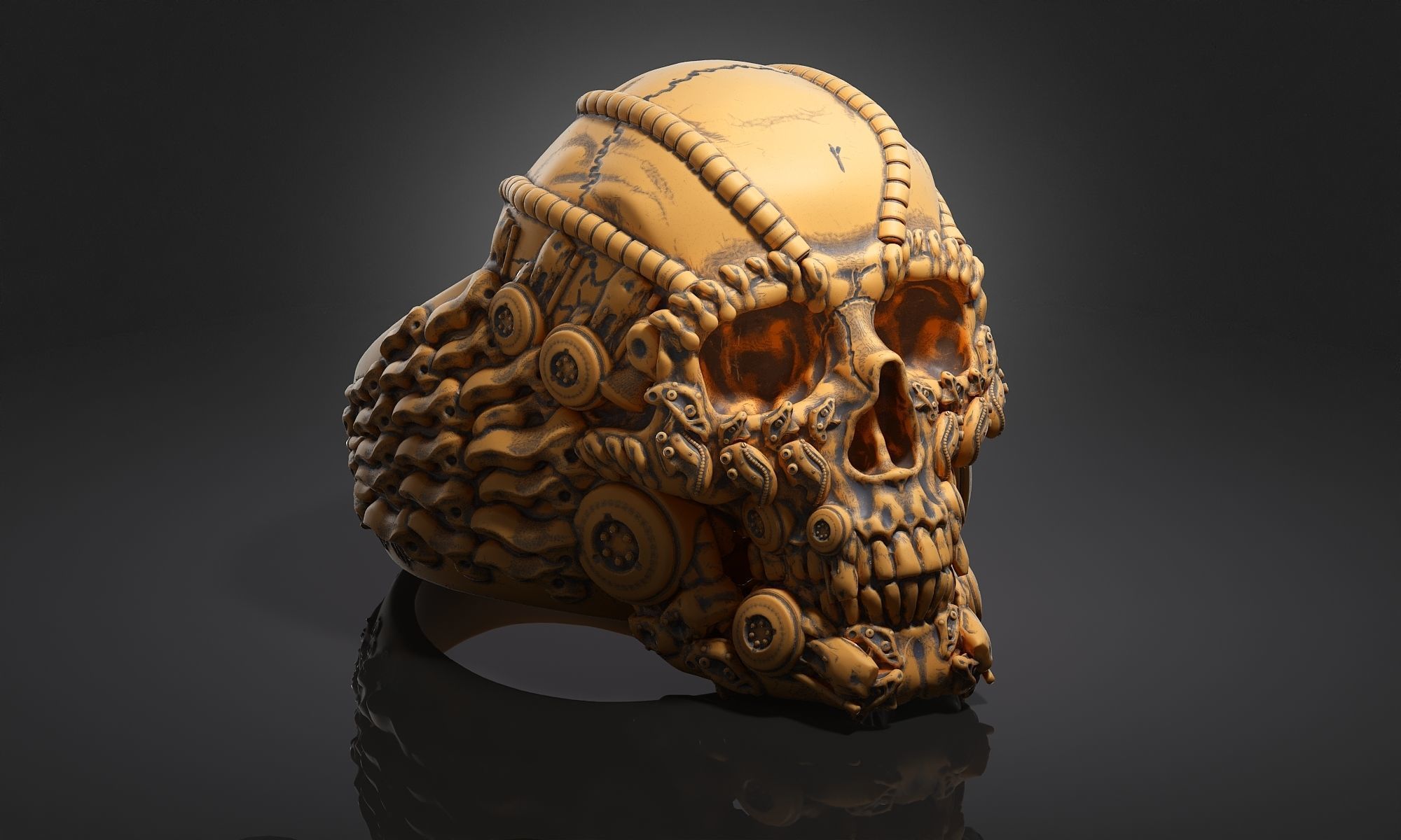 Ring Skull Biomechanical a01 3D print model_16