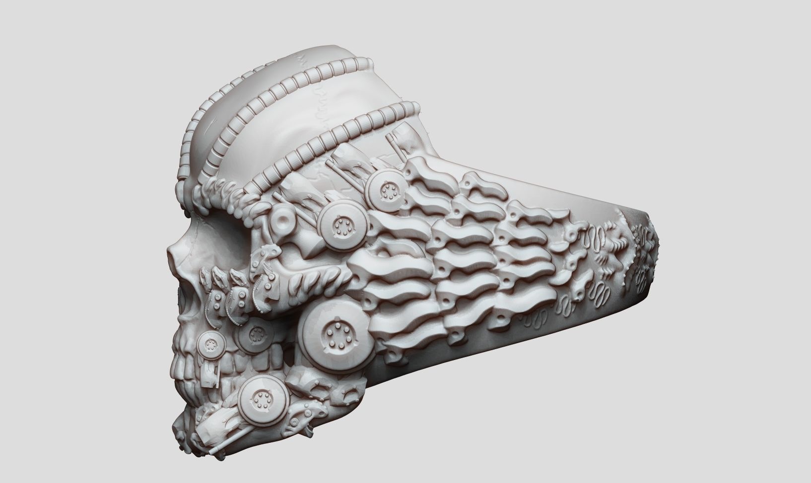 Ring Skull Biomechanical a01 3D print model_29