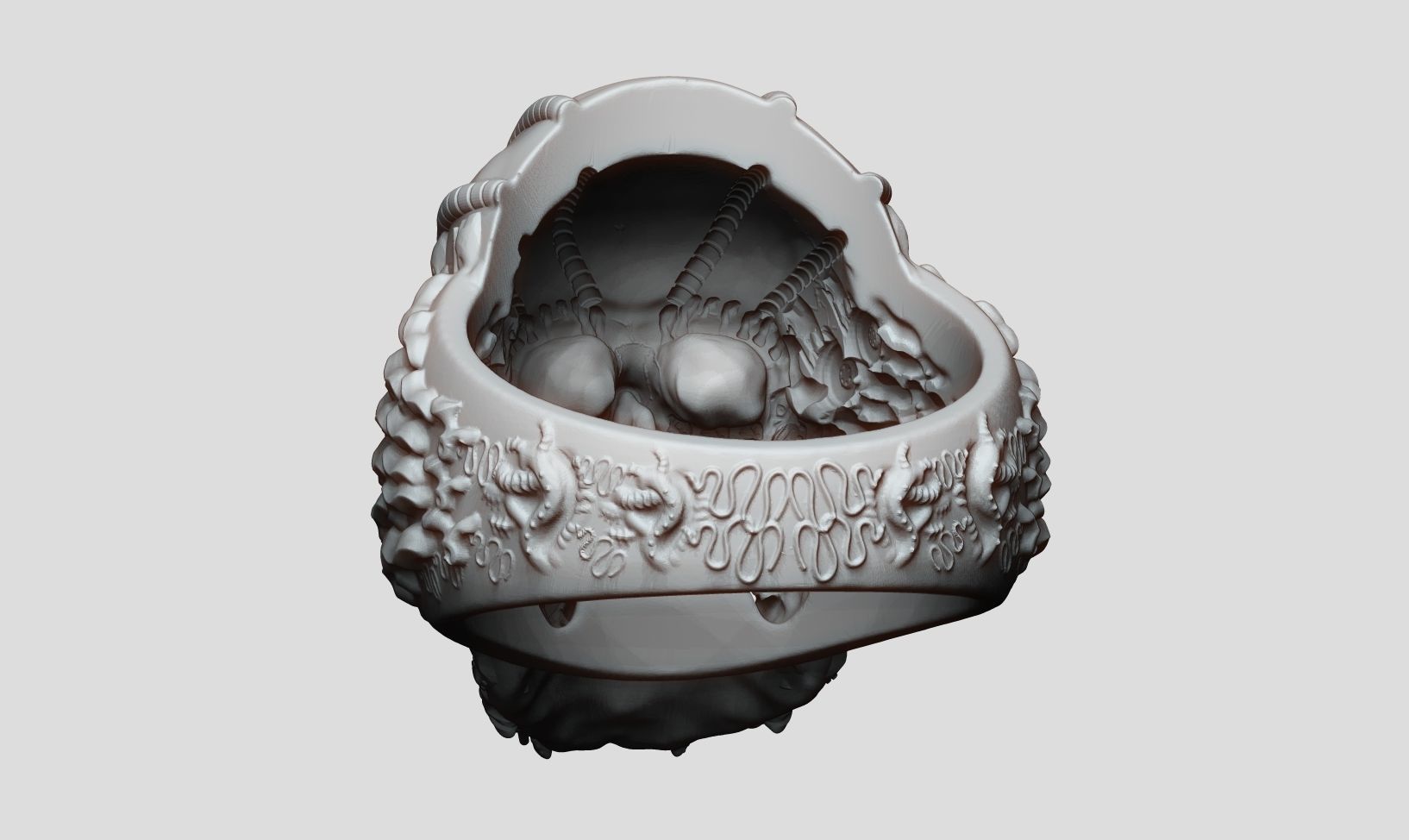 Ring Skull Biomechanical a01 3D print model_25
