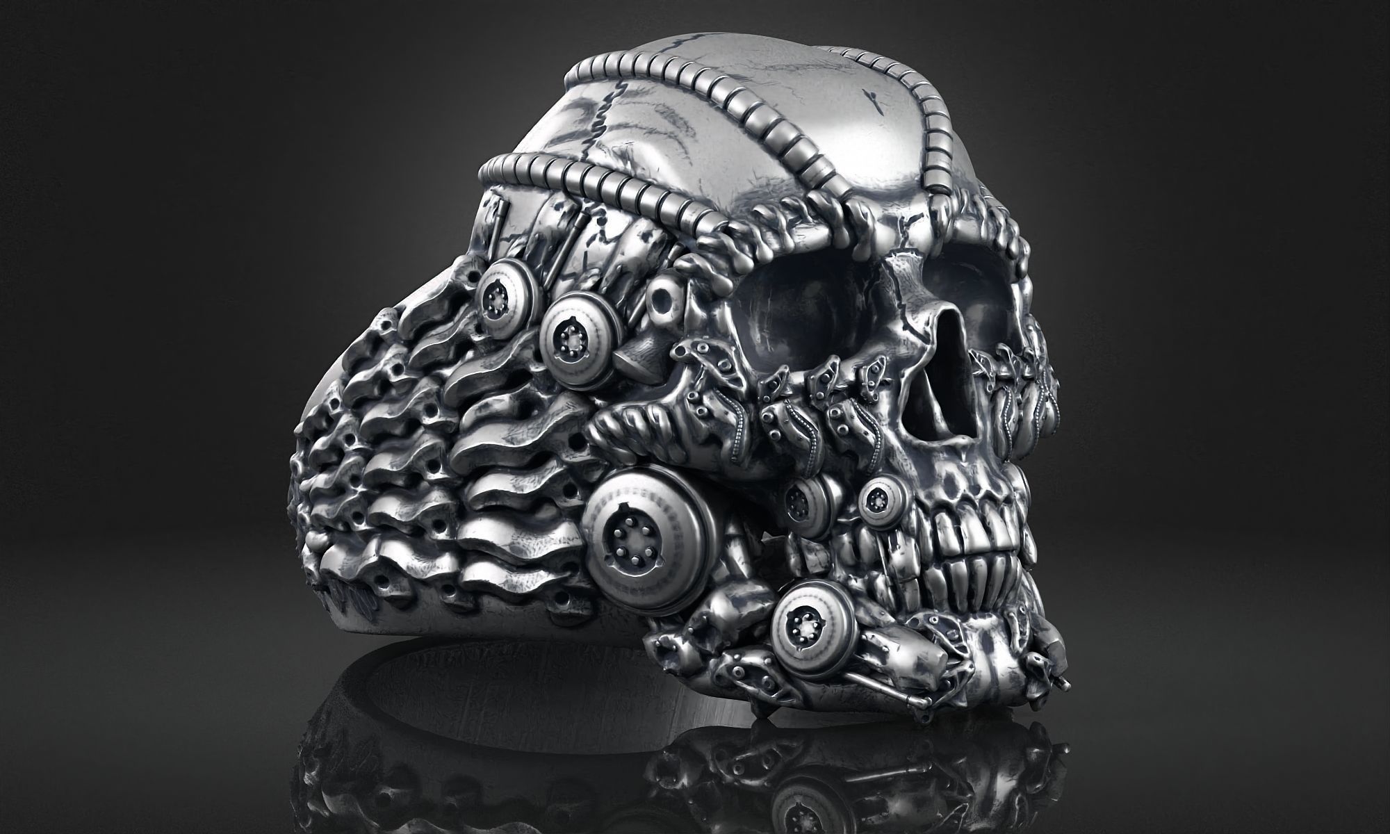 Ring Skull Biomechanical a01 3D print model_5