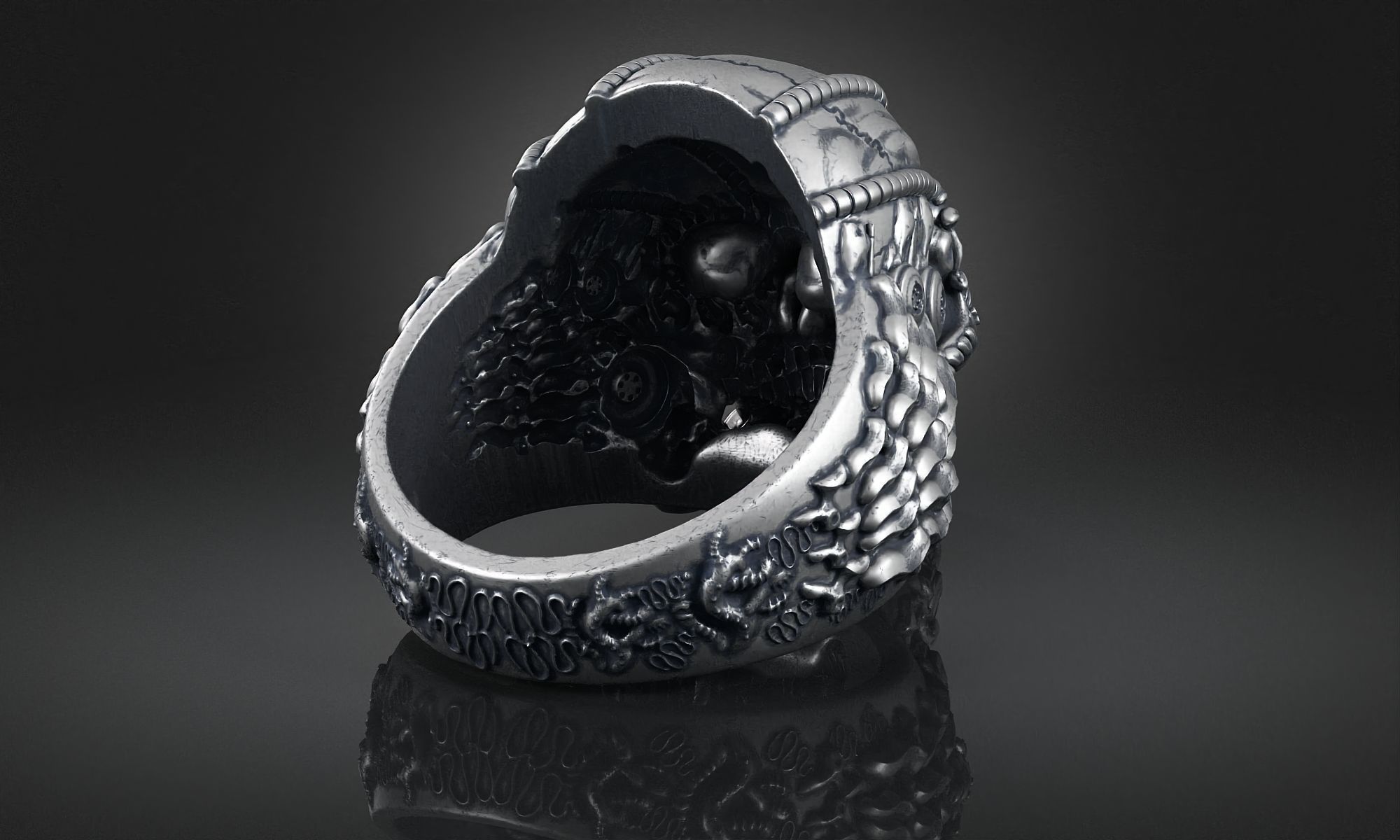 Ring Skull Biomechanical a01 3D print model_2