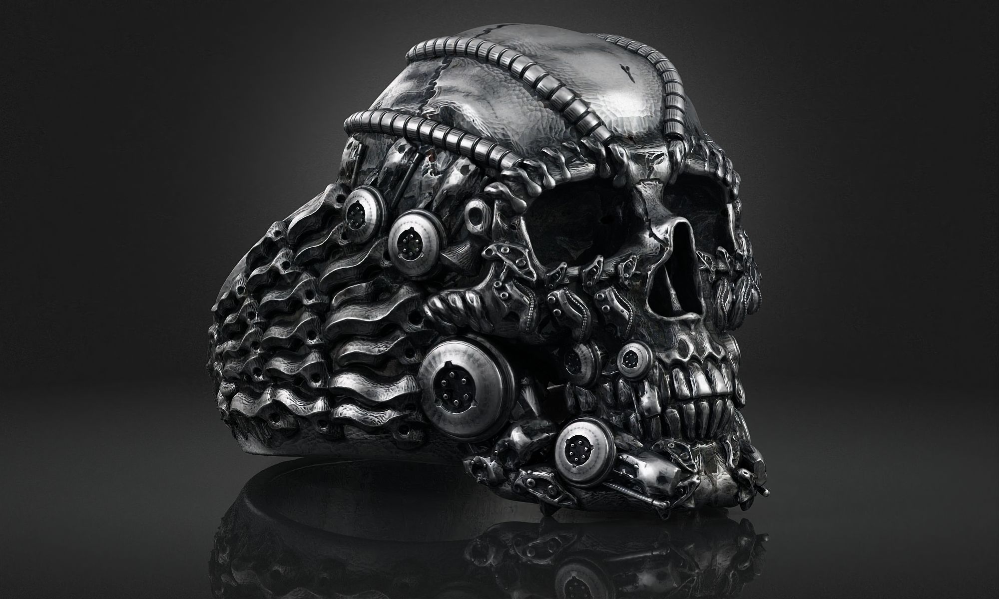 Ring Skull Biomechanical a01 3D print model_9