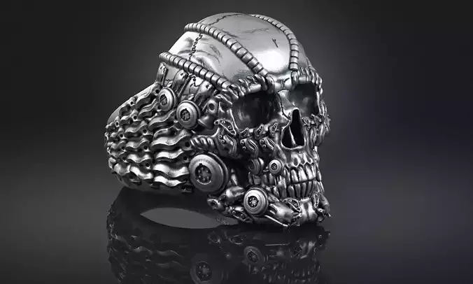 Ring Skull Biomechanical  a01