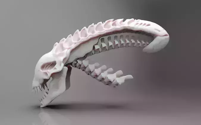 Predator Skull 3D print model