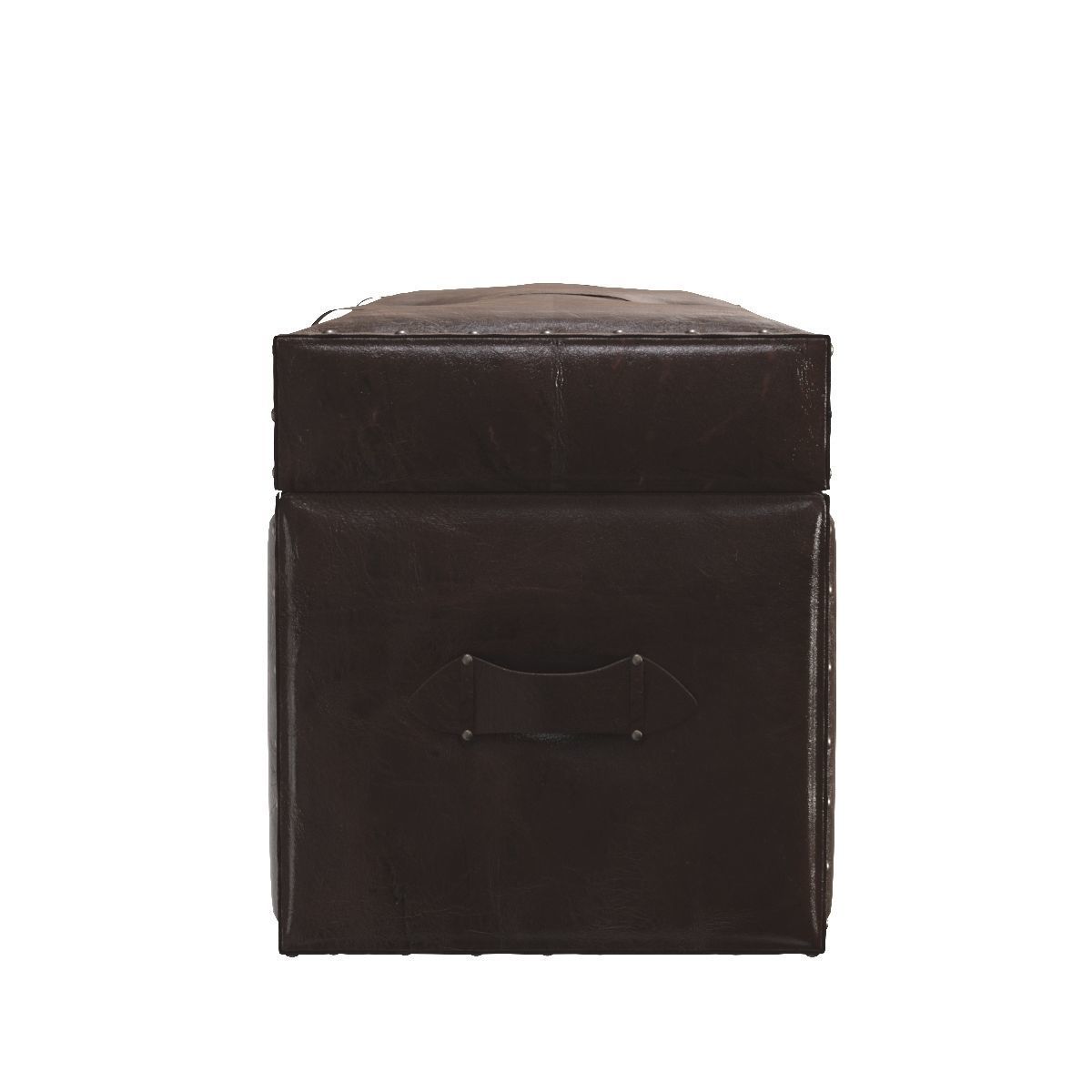 Laramie Trunk Leather Storage Bench 3D model_2