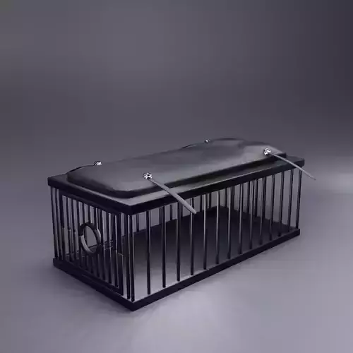 BDSM NSFW Erotic Monster Cage Dungeon Leather Bondage Slave Sex Low-poly 3D model