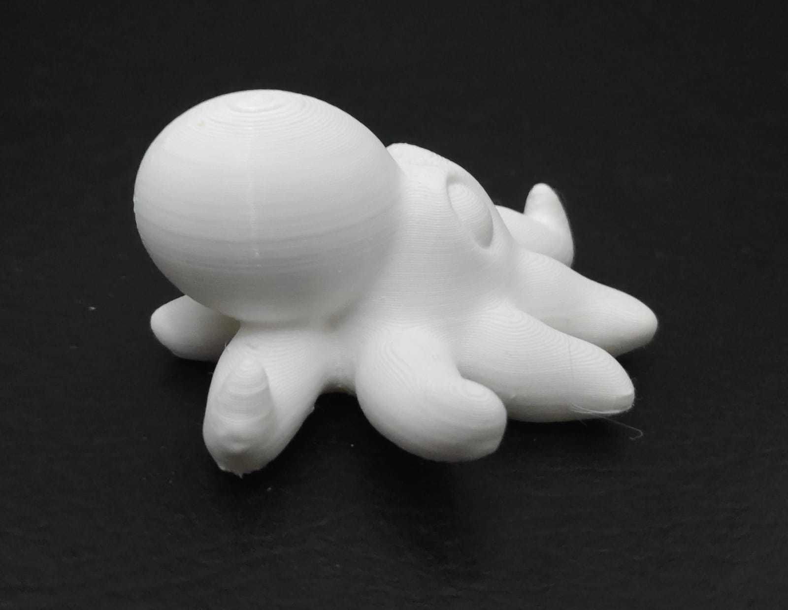 Giant Octopus 3D print model_9