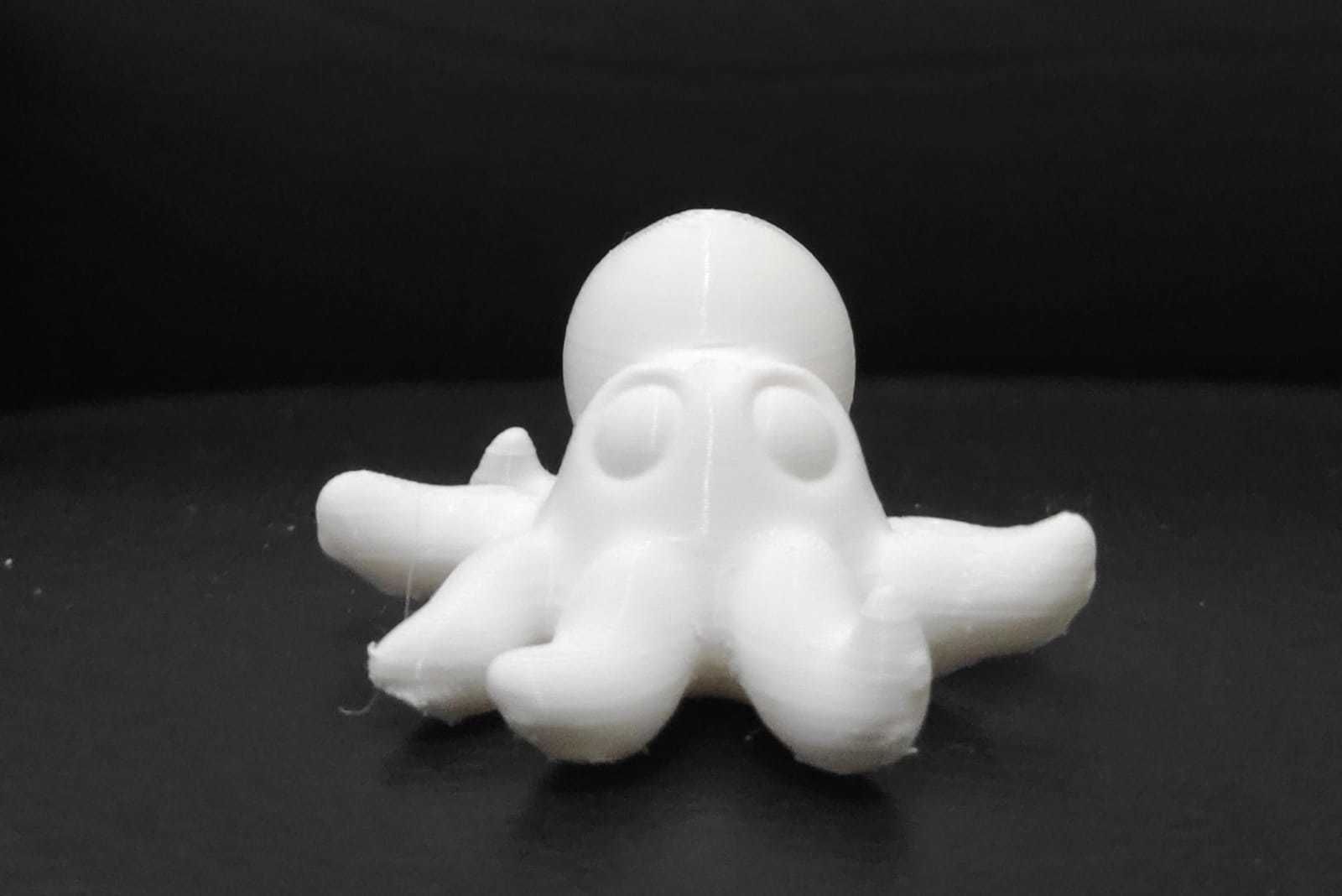 Giant Octopus 3D print model_11