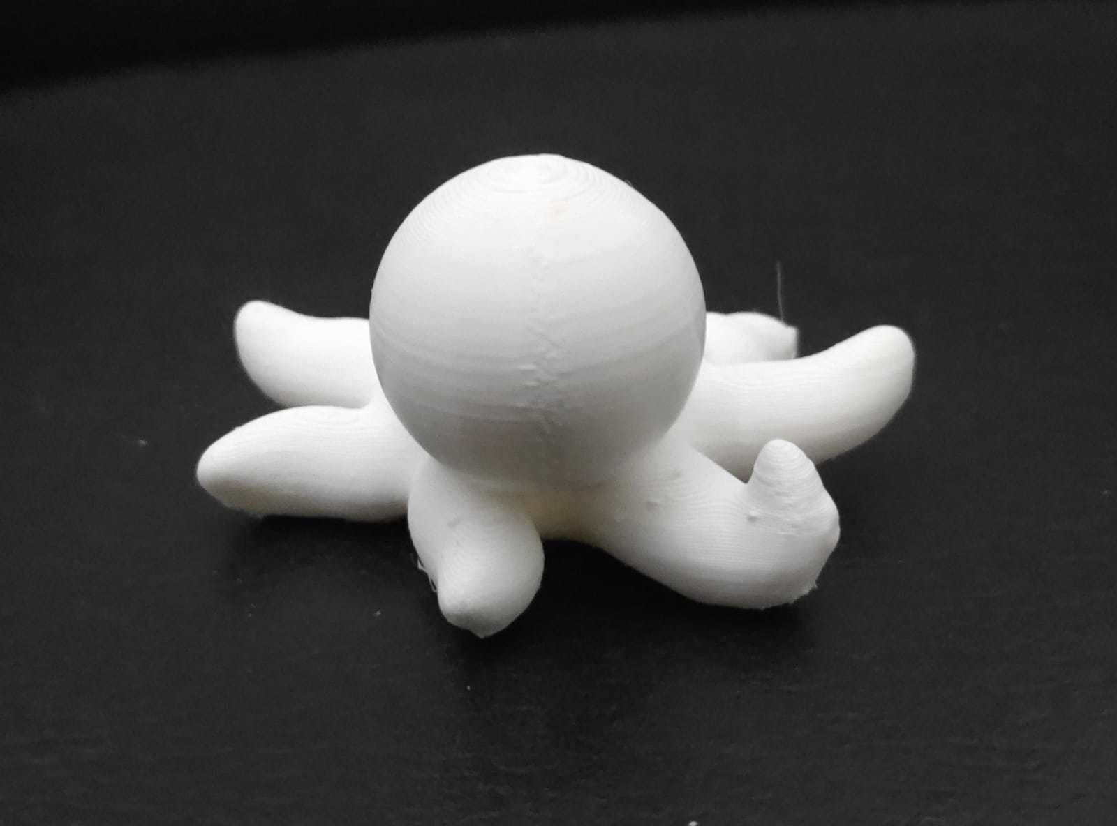 Giant Octopus 3D print model_8