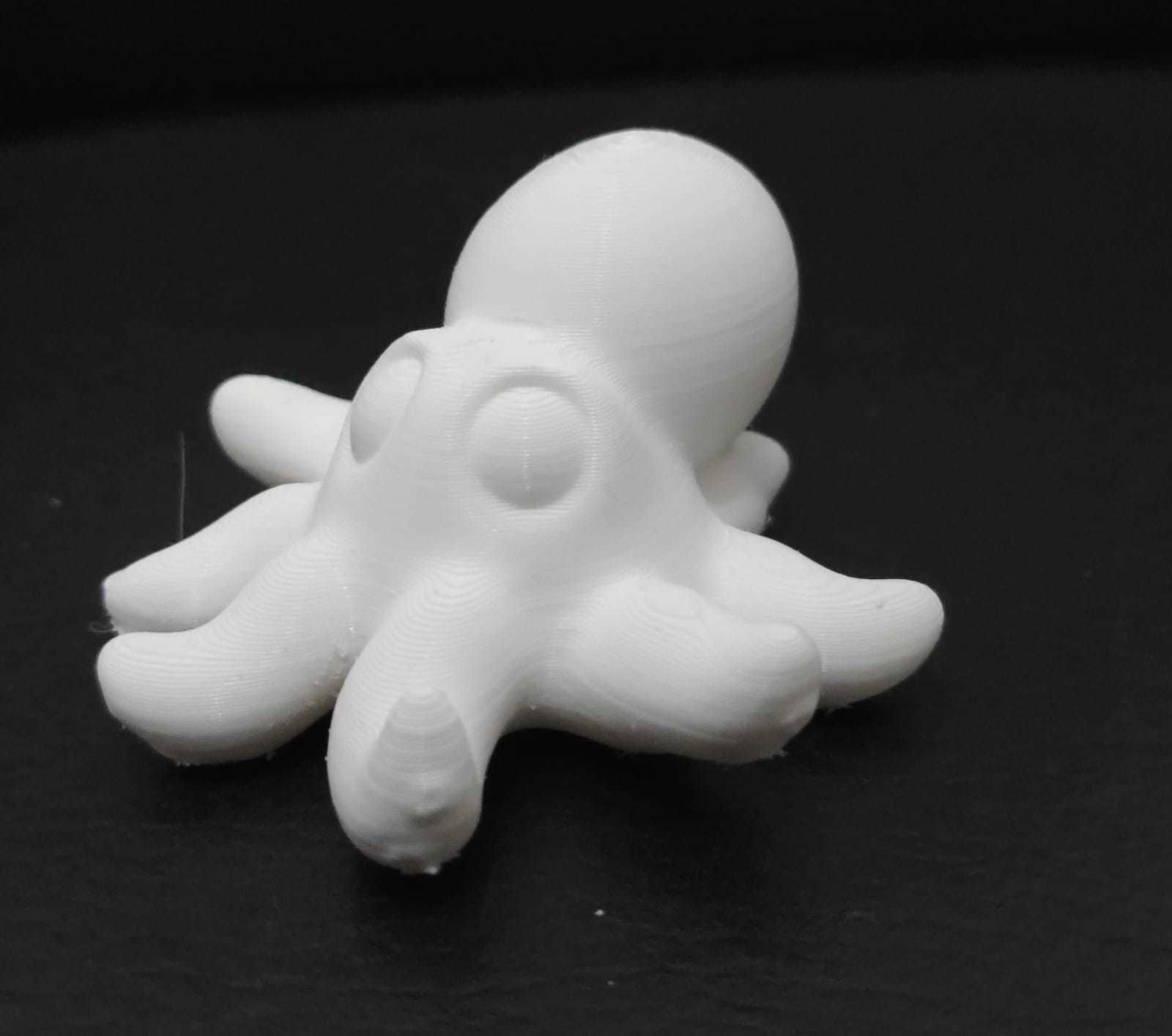 Giant Octopus 3D print model_4