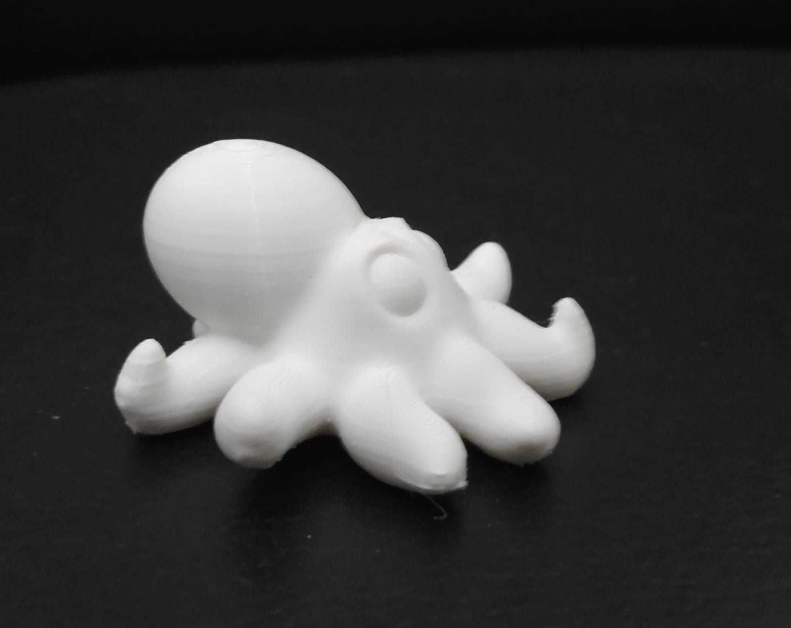 Giant Octopus 3D print model_10